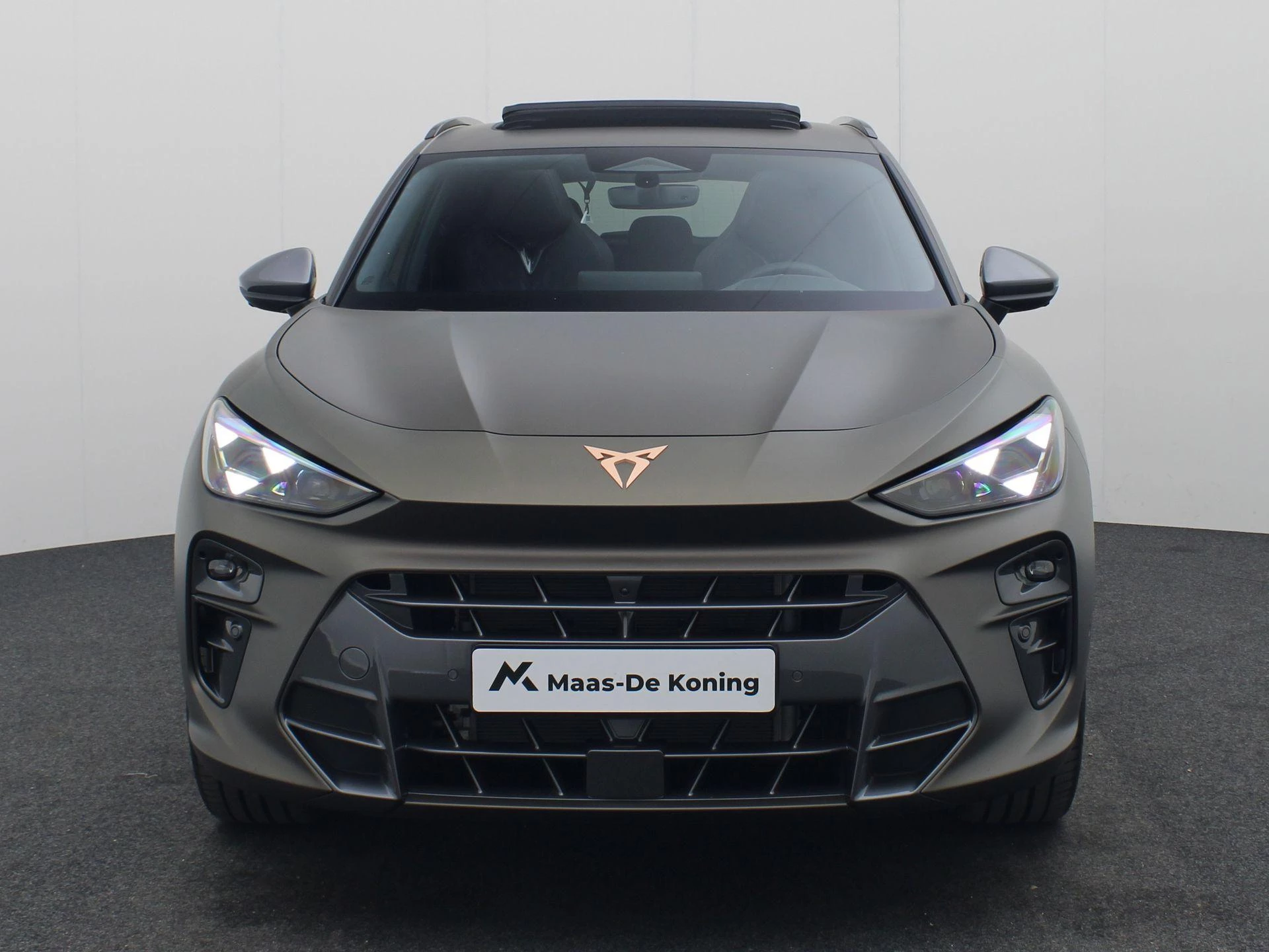 Hoofdafbeelding CUPRA Terramar