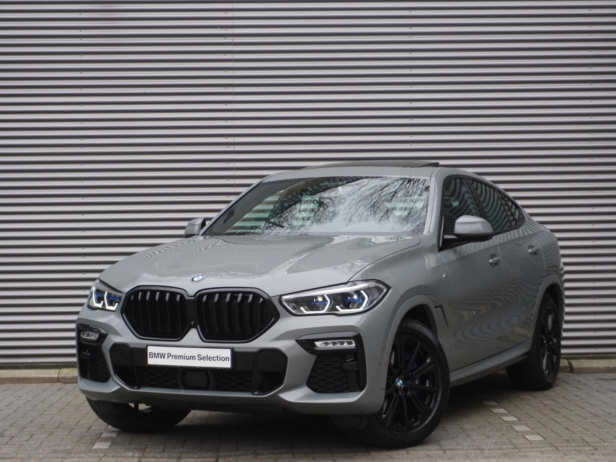 Hoofdafbeelding BMW X6