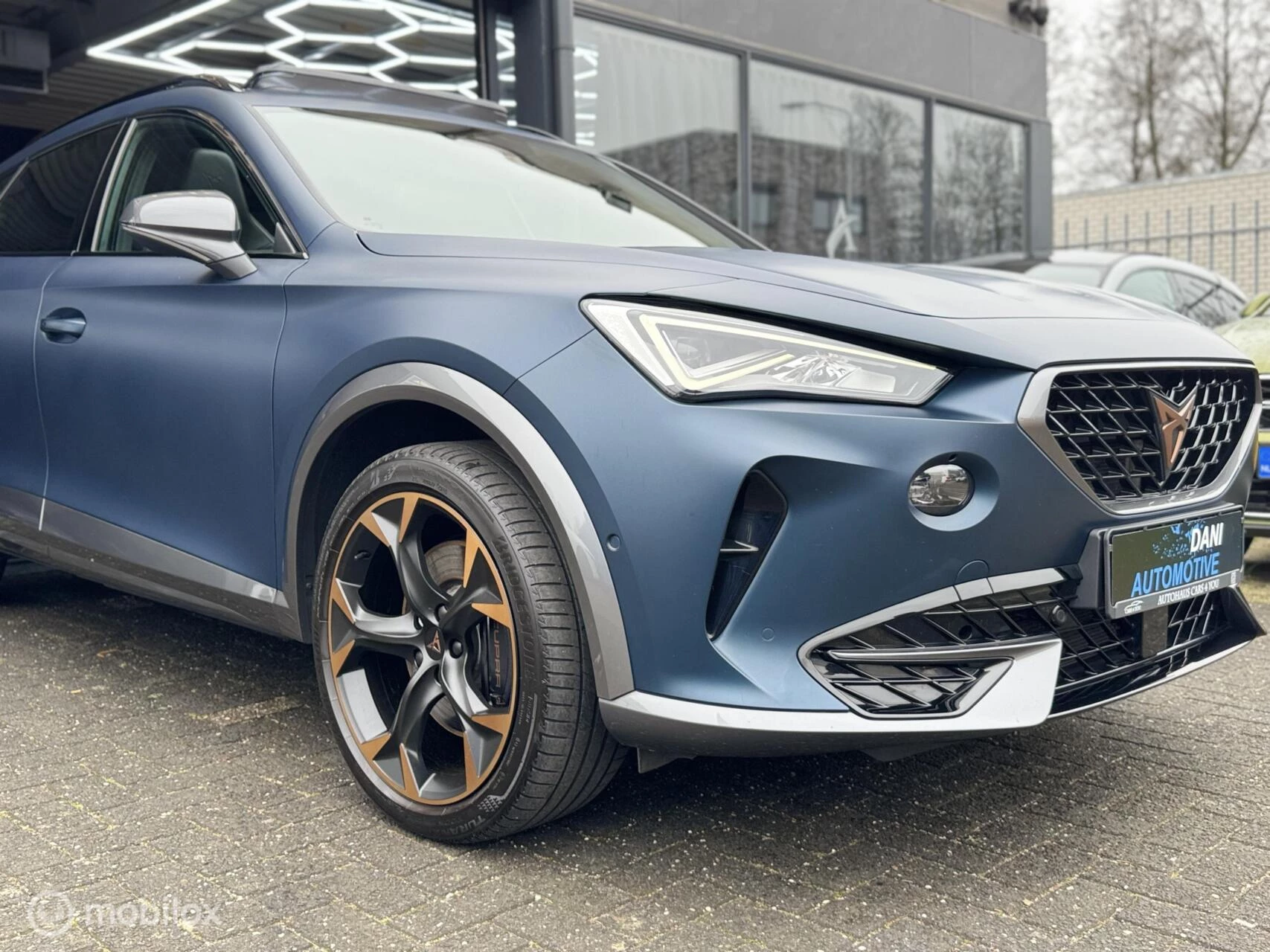 Hoofdafbeelding CUPRA Formentor