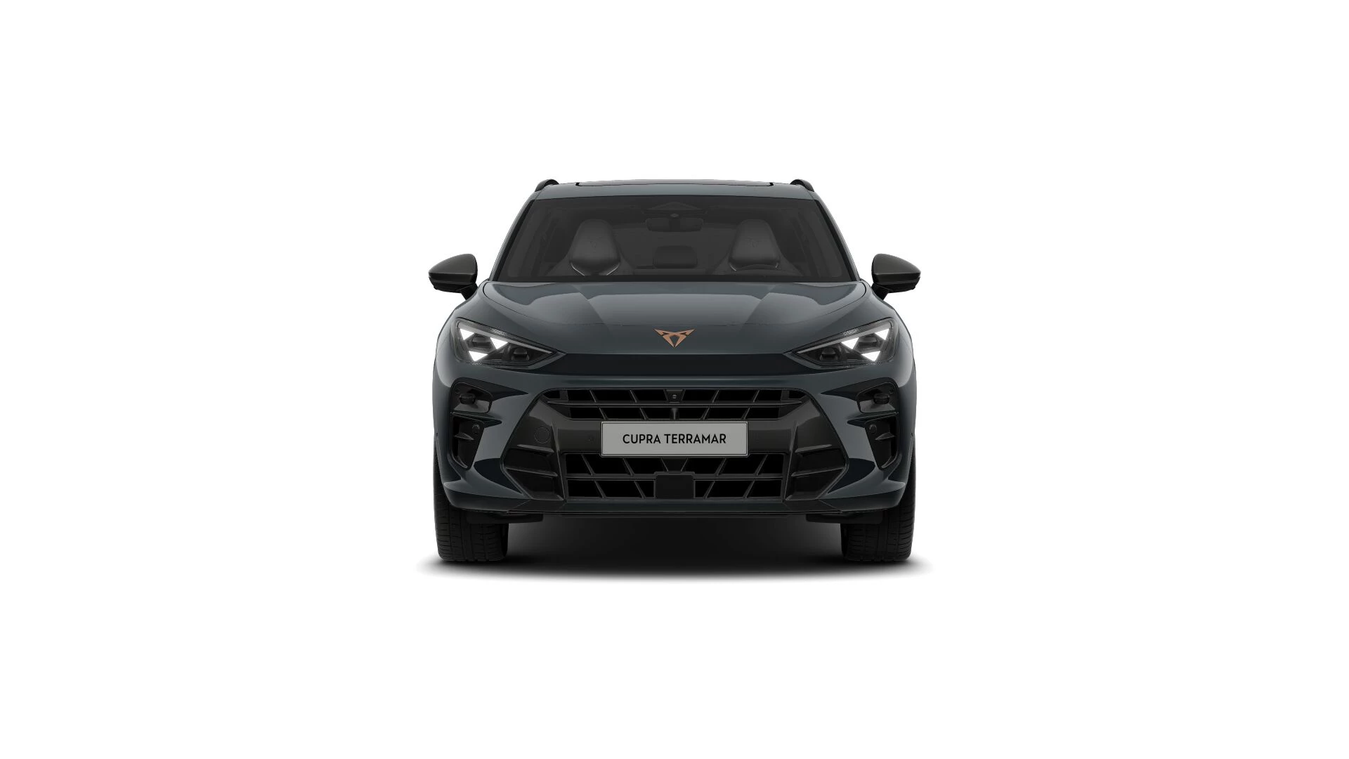 Hoofdafbeelding CUPRA Terramar