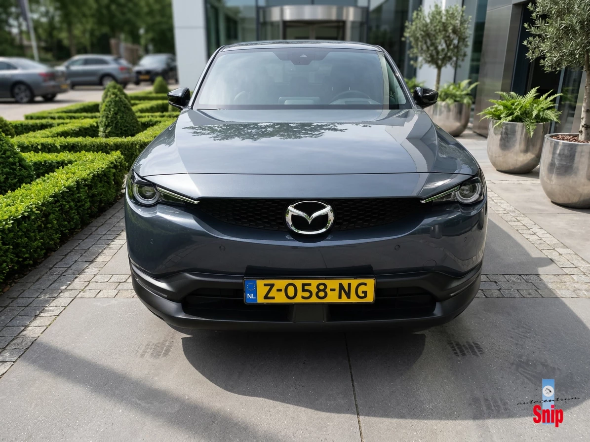 Hoofdafbeelding Mazda MX-30