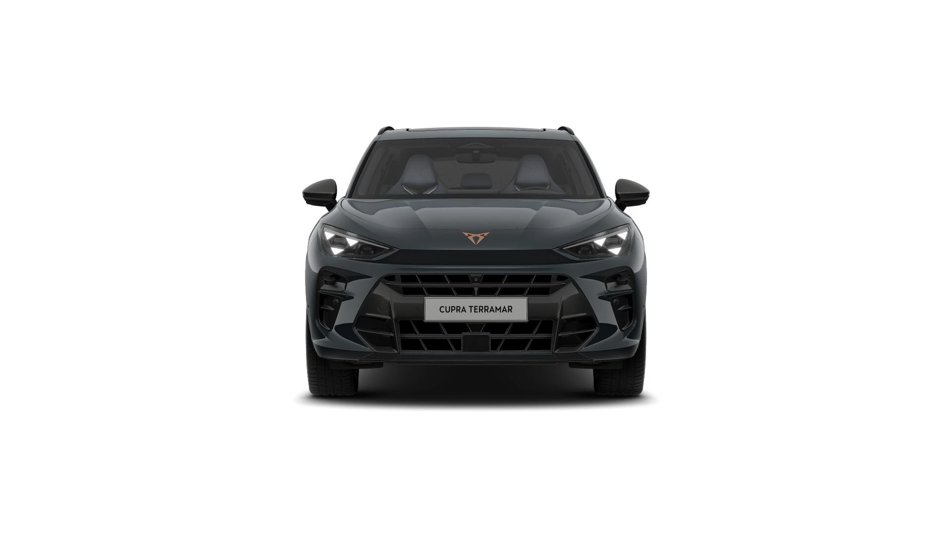 Hoofdafbeelding CUPRA Terramar