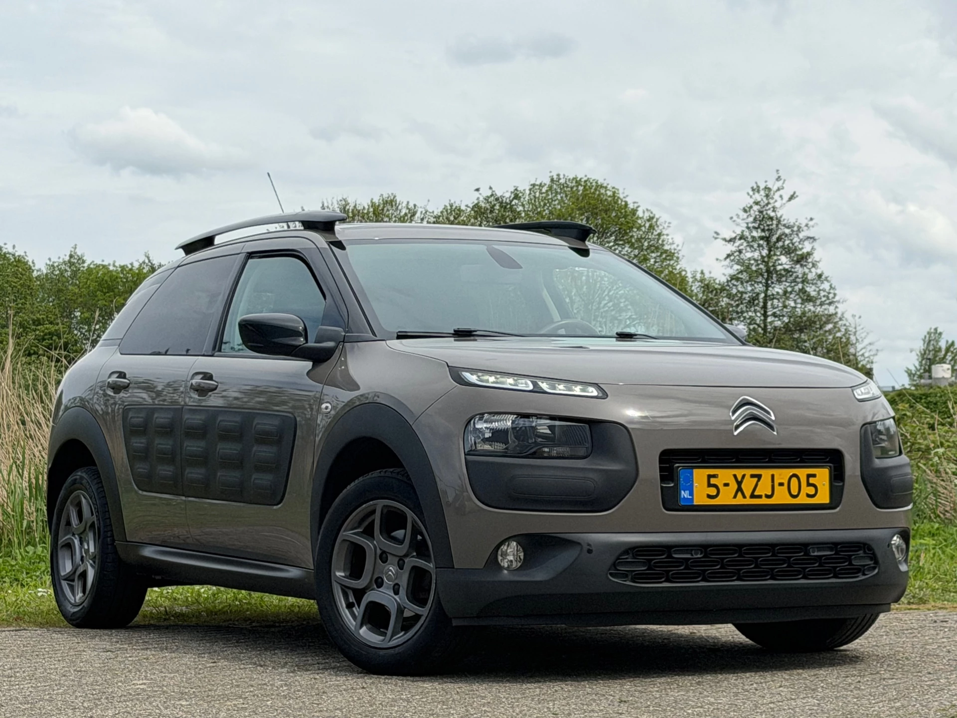 Hoofdafbeelding Citroën C4 Cactus