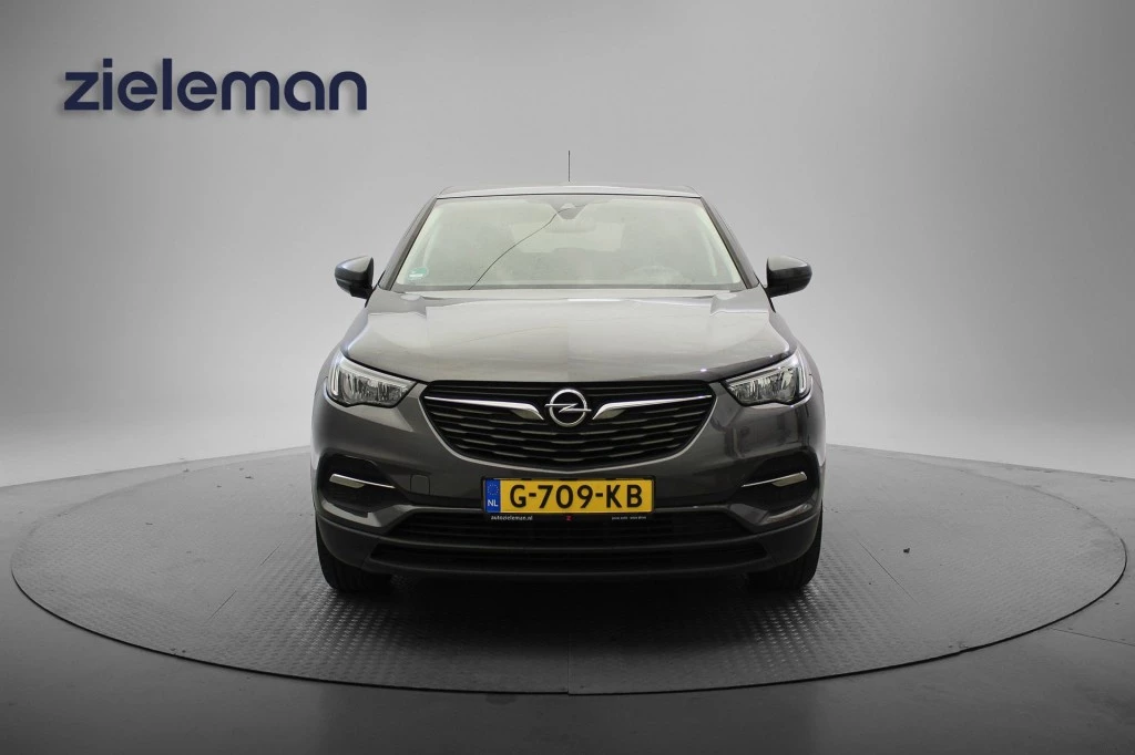 Hoofdafbeelding Opel Grandland X