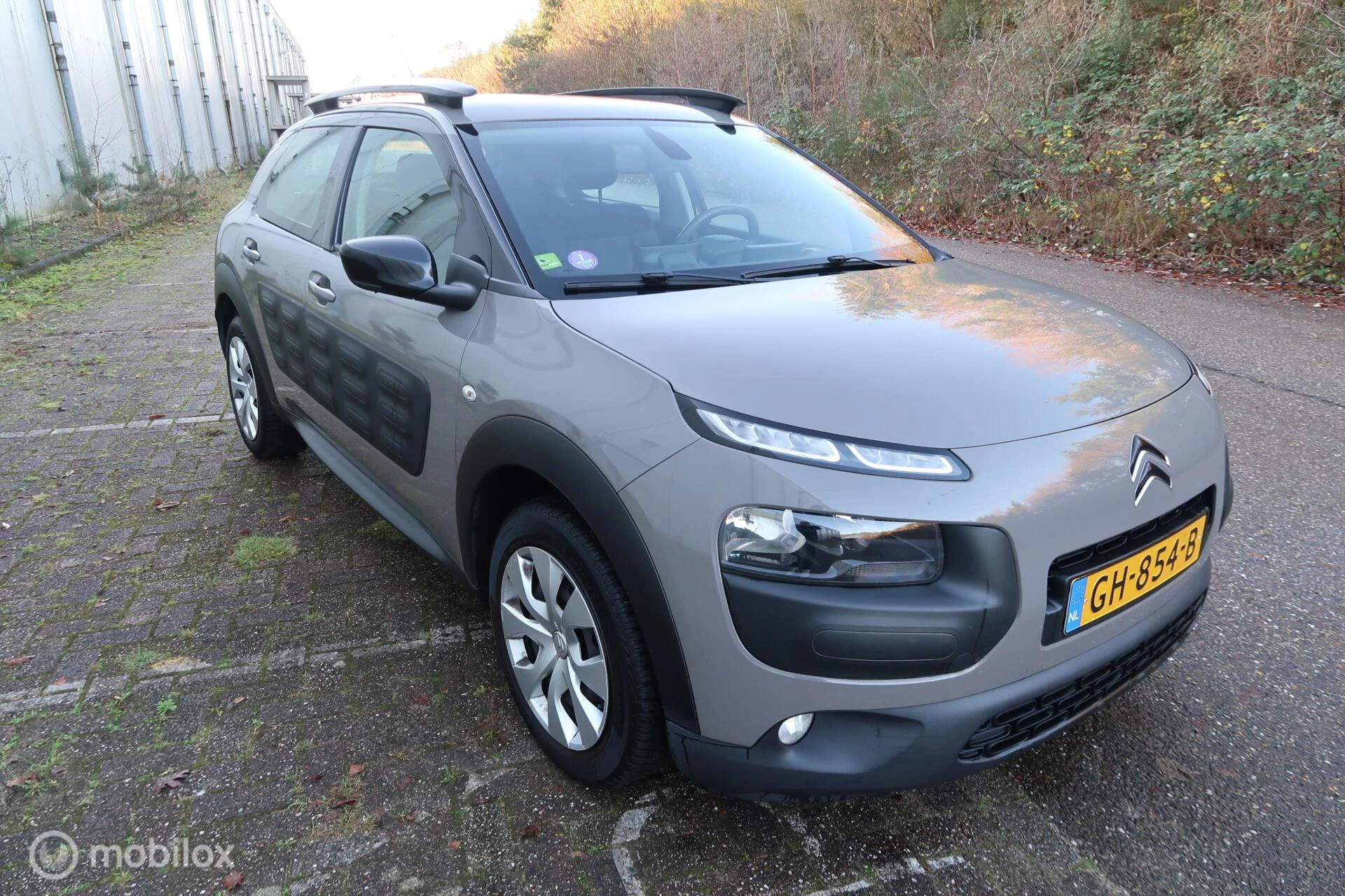 Hoofdafbeelding Citroën C4 Cactus