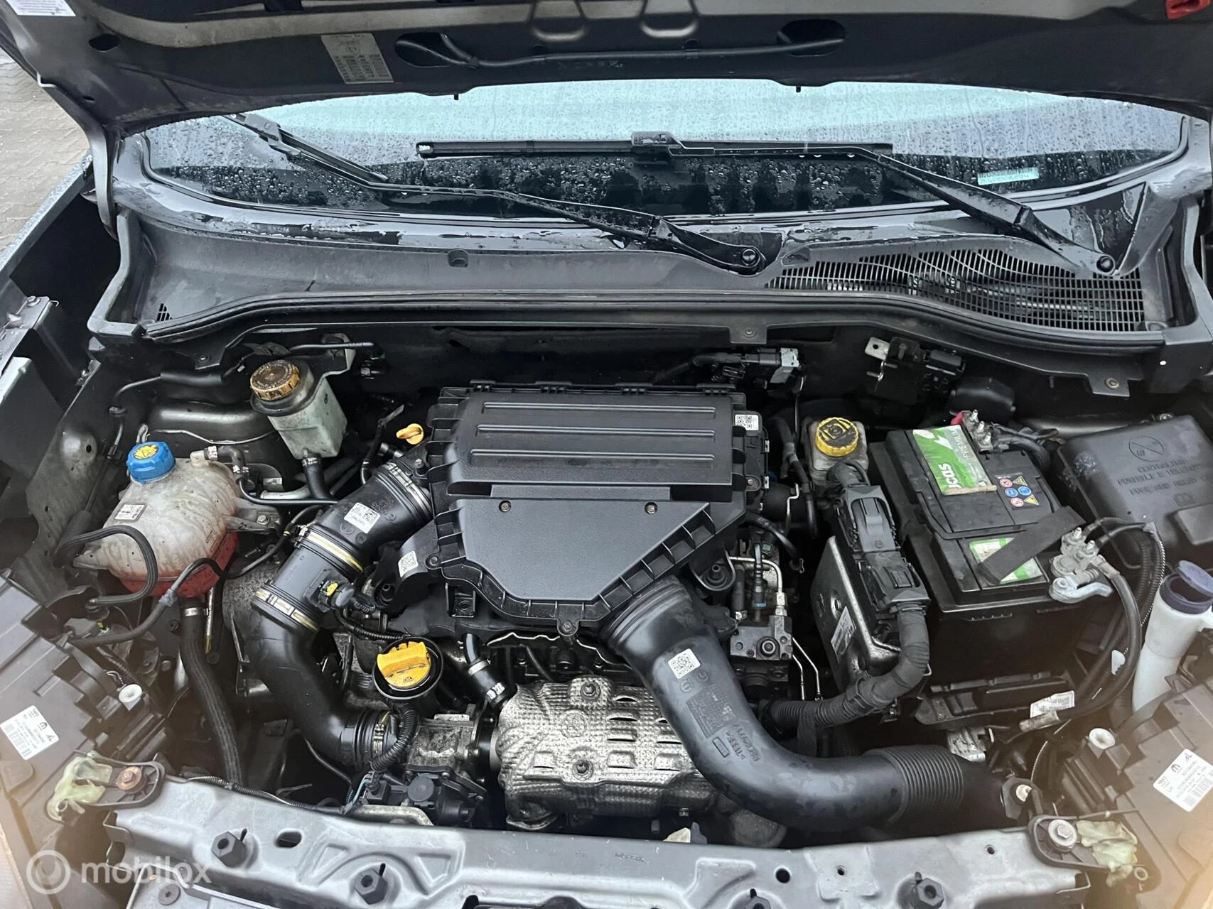 Hoofdafbeelding Fiat Doblò