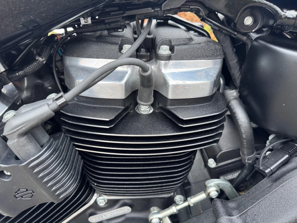 Hoofdafbeelding Harley-Davidson Street Bob