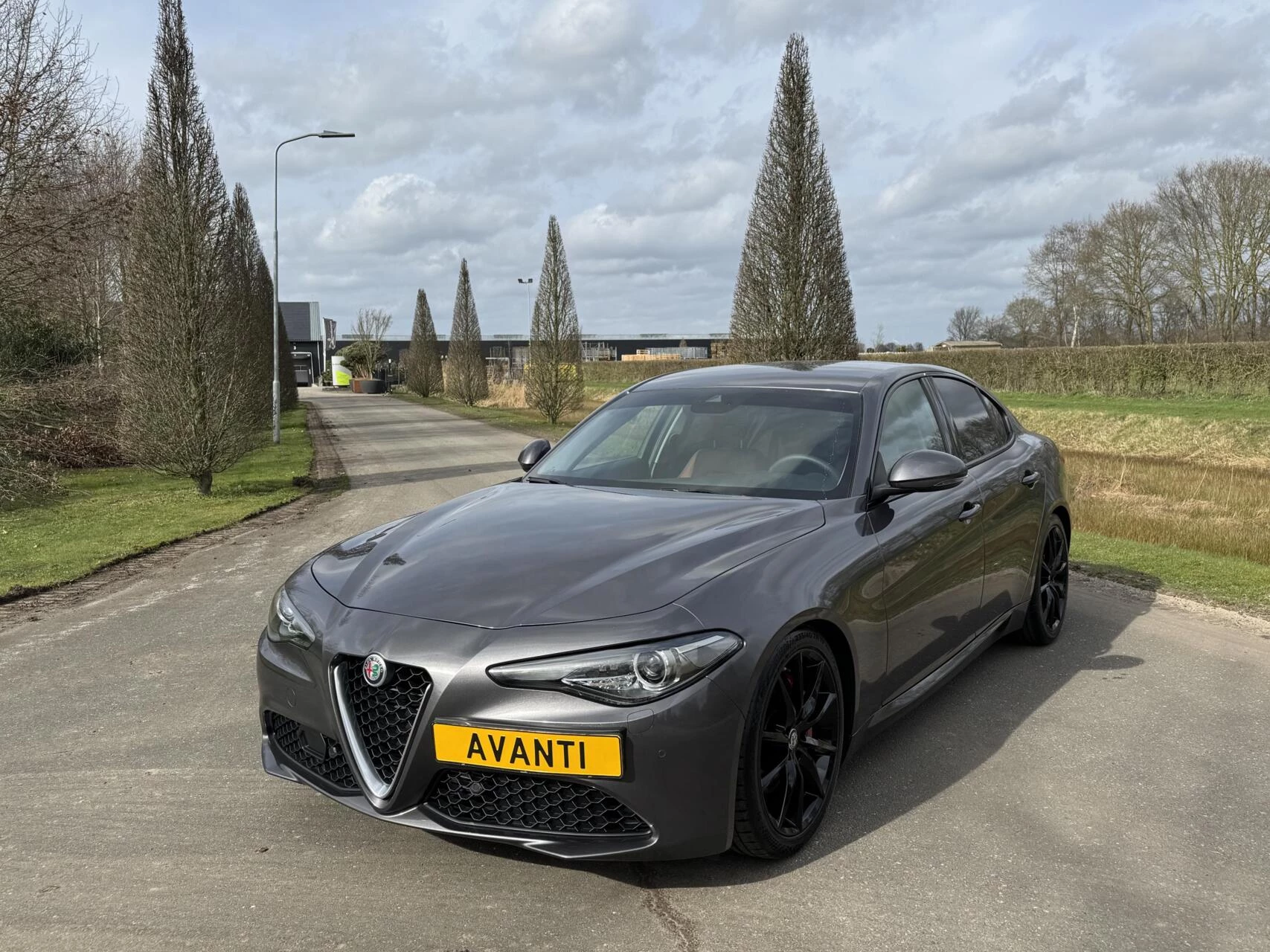 Hoofdafbeelding Alfa Romeo Giulia