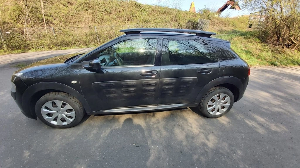 Hoofdafbeelding Citroën C4 Cactus