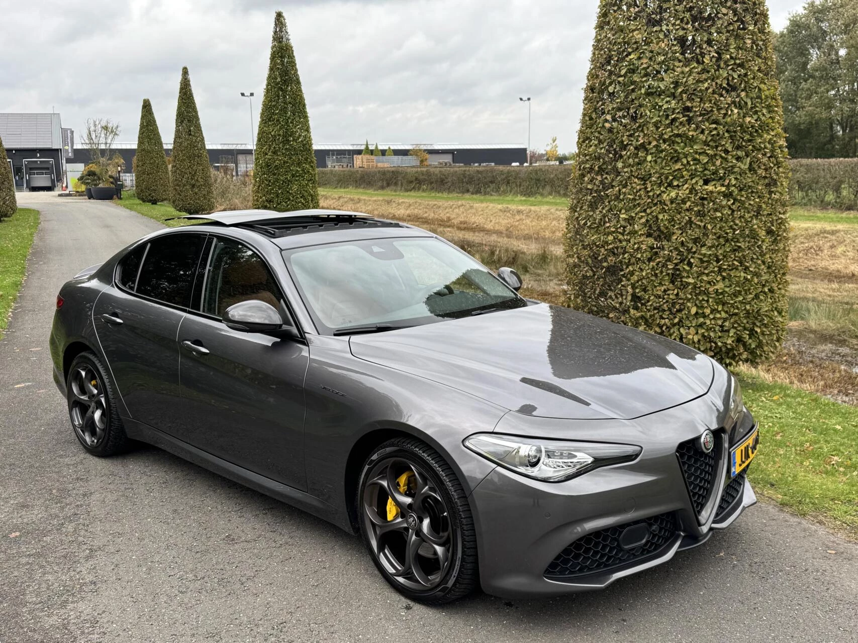 Hoofdafbeelding Alfa Romeo Giulia