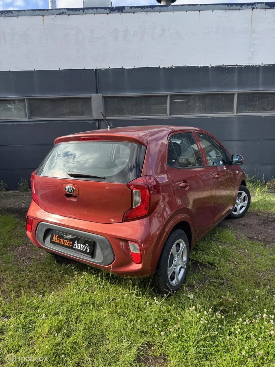 Hoofdafbeelding Kia Picanto