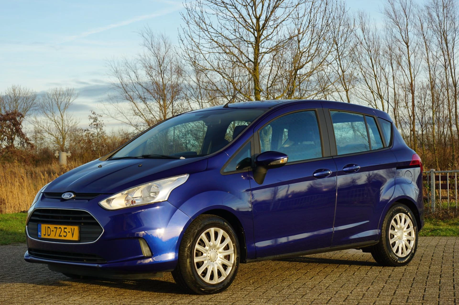 Hoofdafbeelding Ford B-MAX