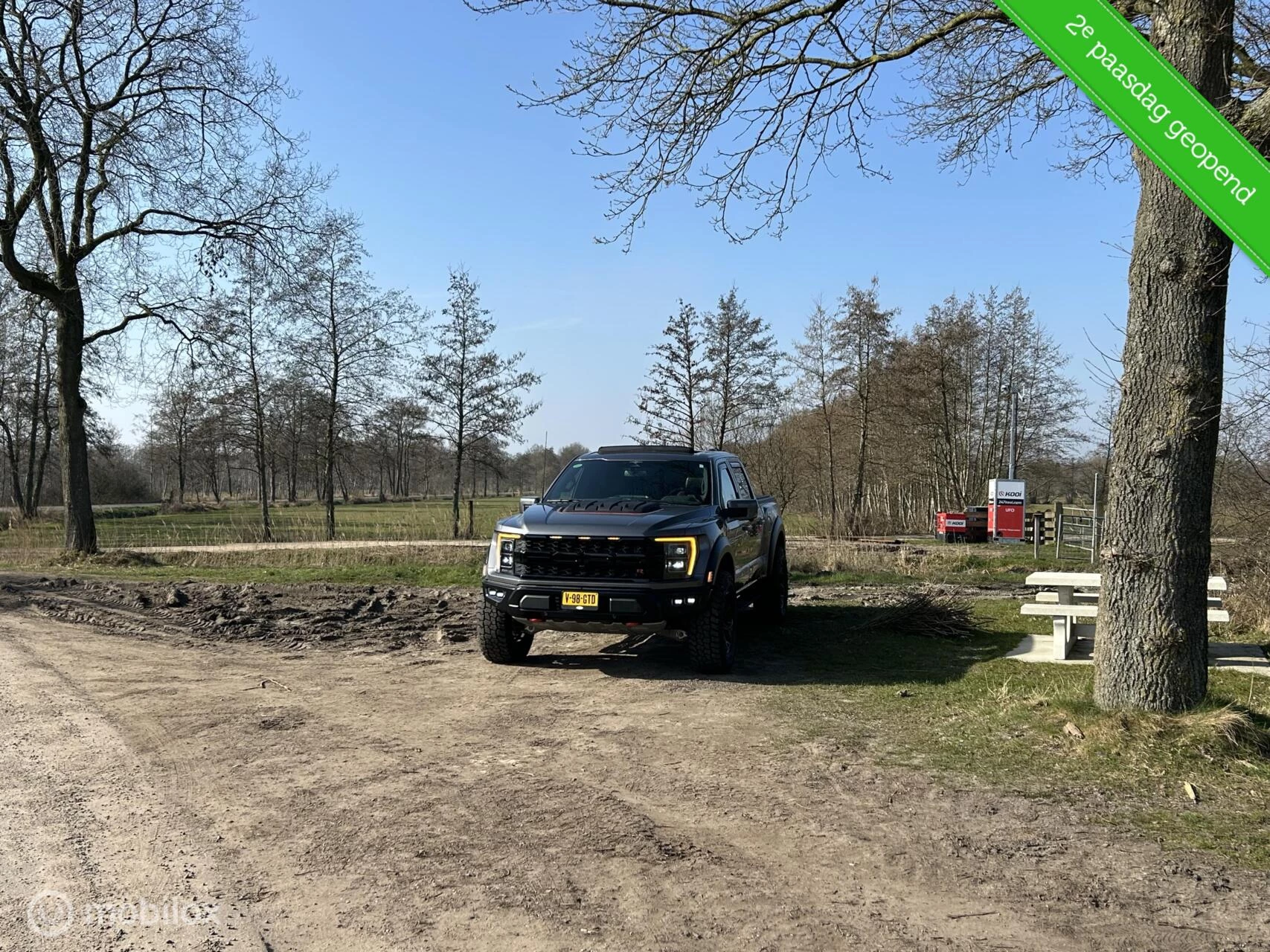 Hoofdafbeelding Ford F-150