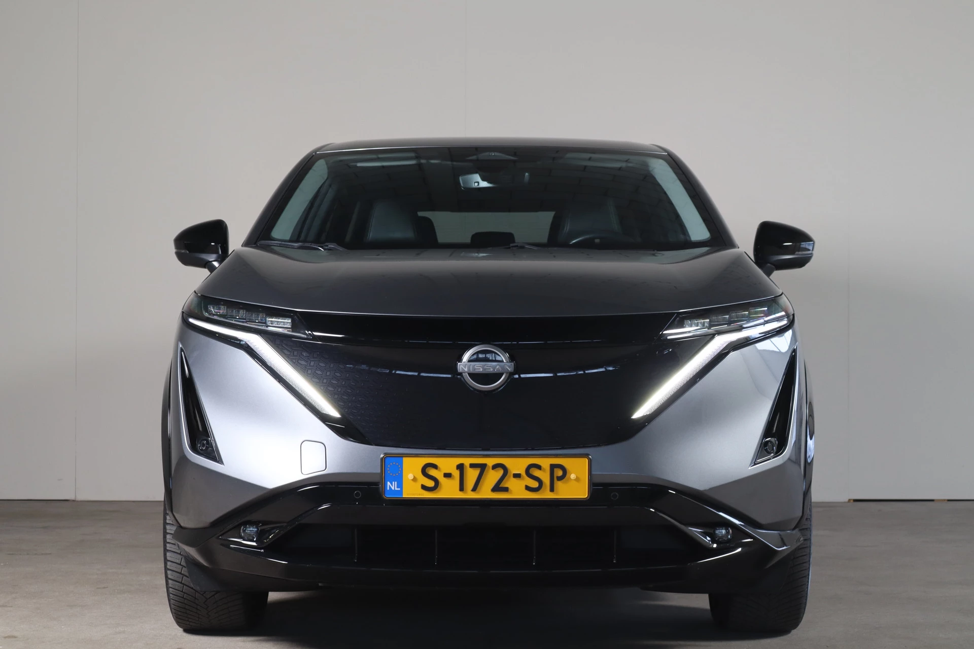 Hoofdafbeelding Nissan ARIYA