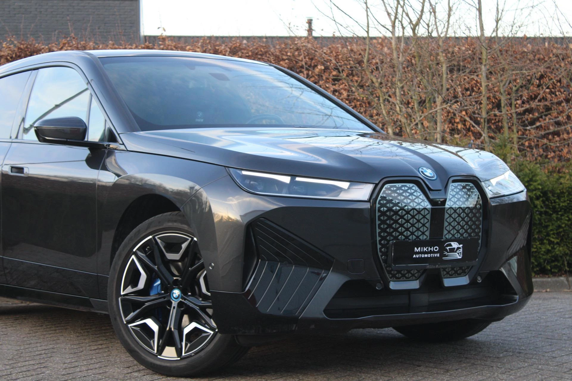 Hoofdafbeelding BMW iX
