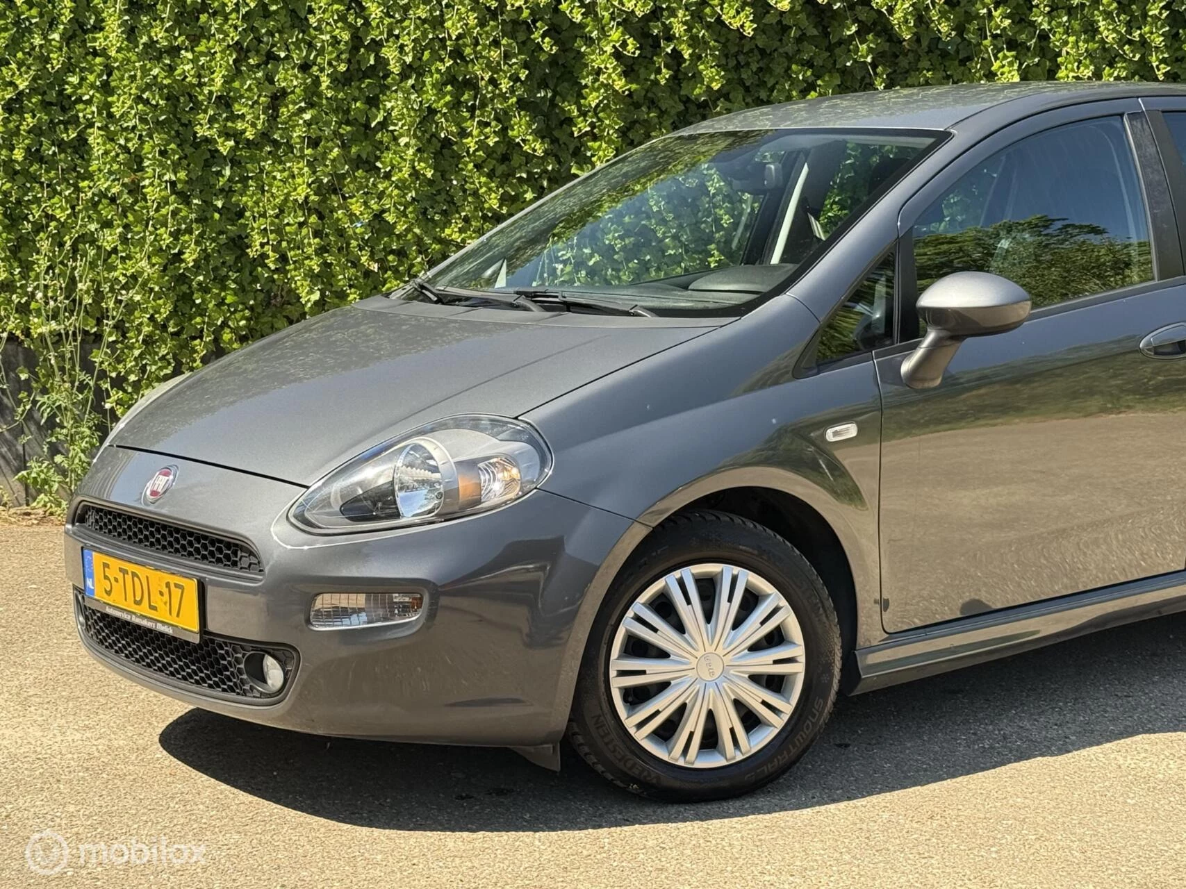 Hoofdafbeelding Fiat Punto