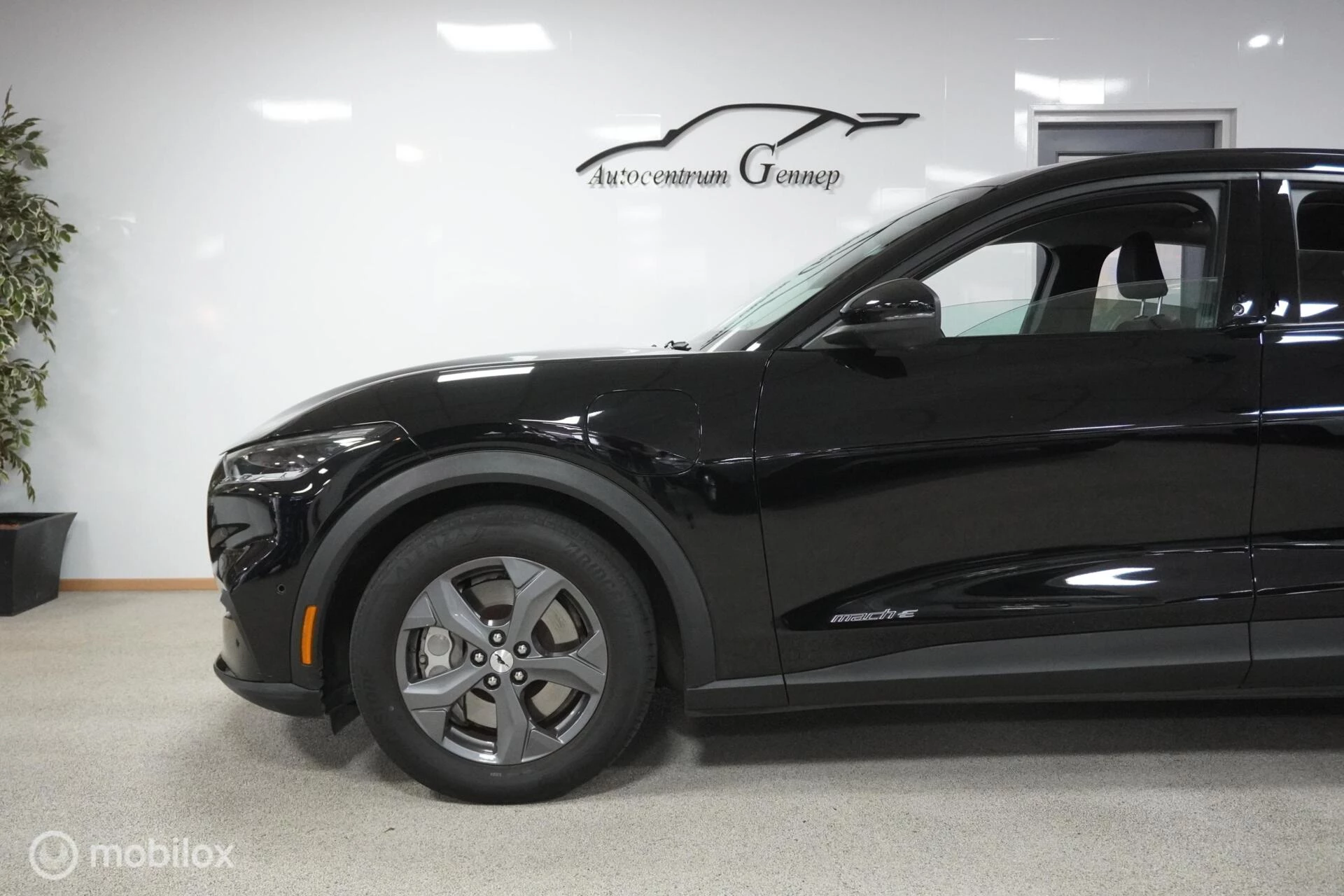 Hoofdafbeelding Ford Mustang Mach-E