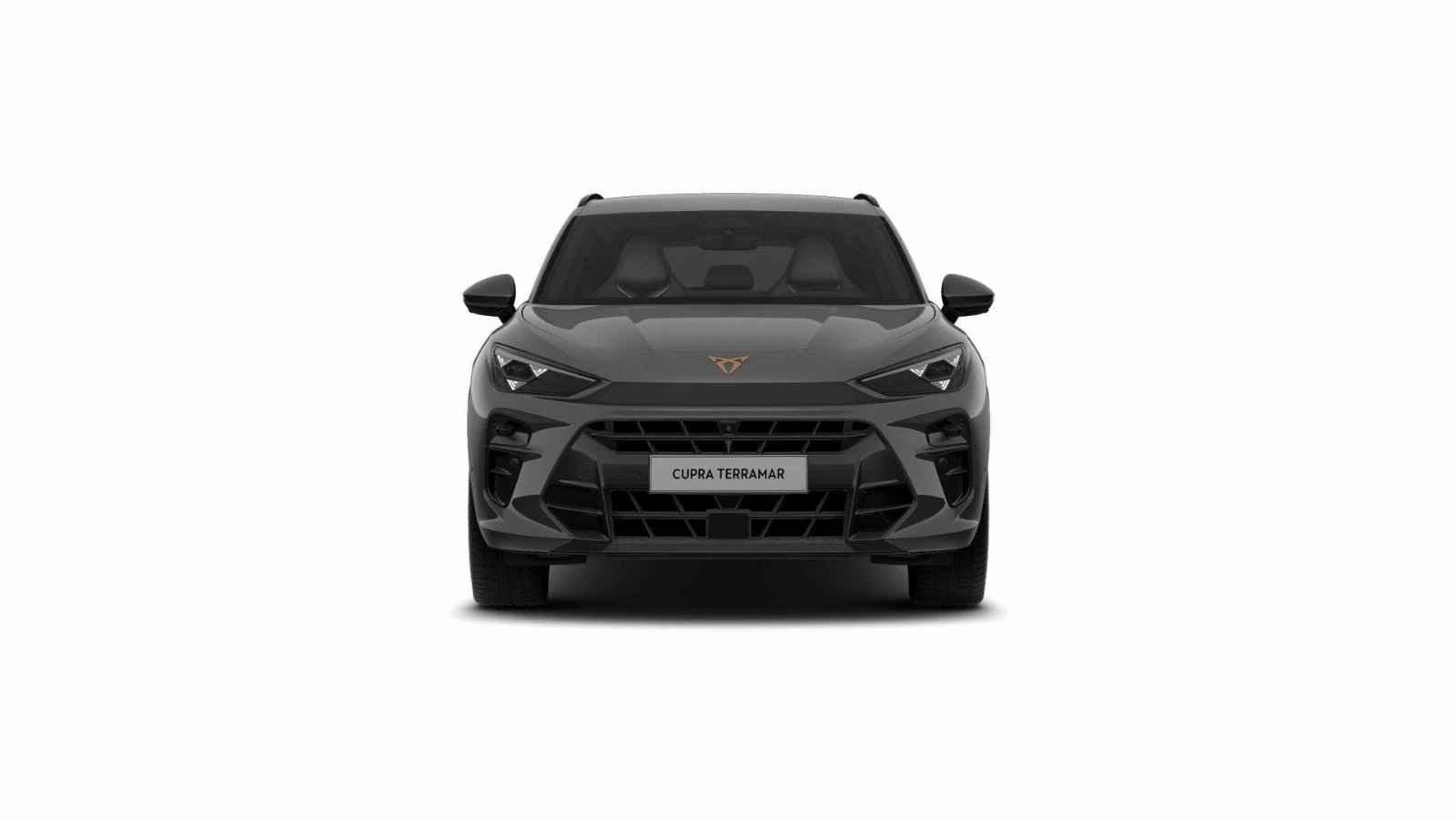 Hoofdafbeelding CUPRA Terramar