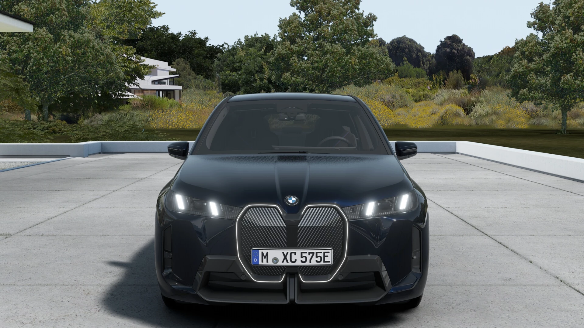 Hoofdafbeelding BMW iX