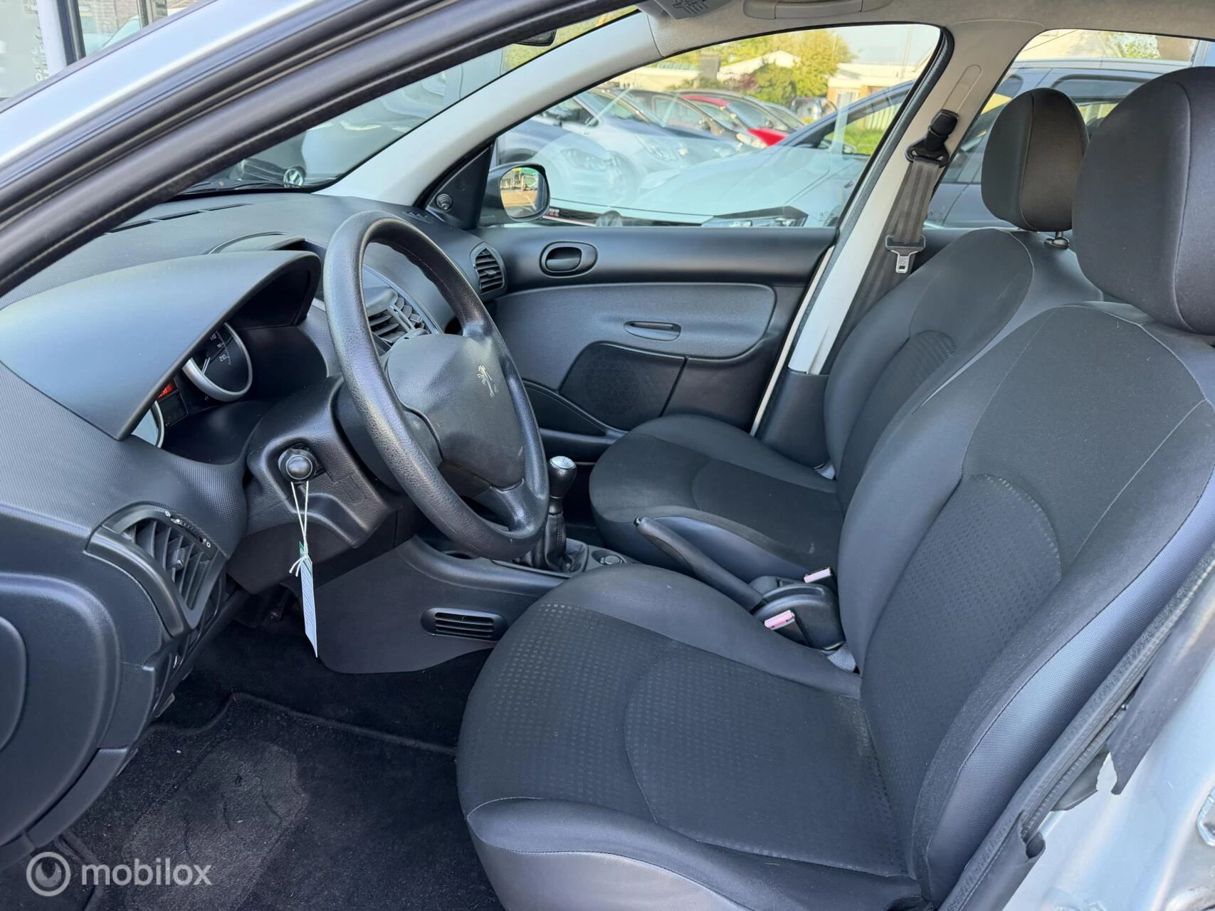 Hoofdafbeelding Peugeot 206