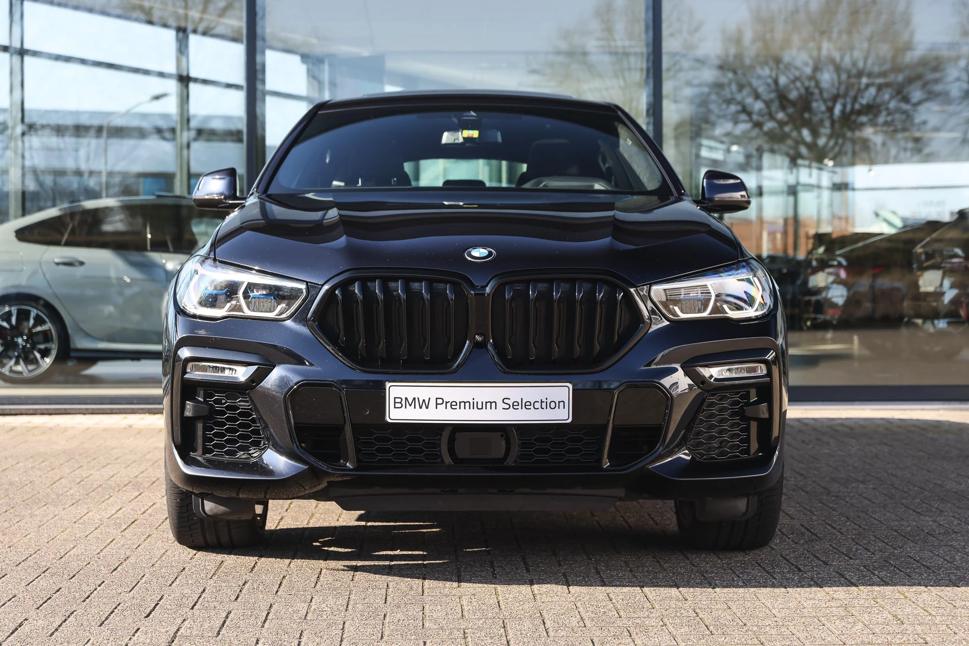 Hoofdafbeelding BMW X6