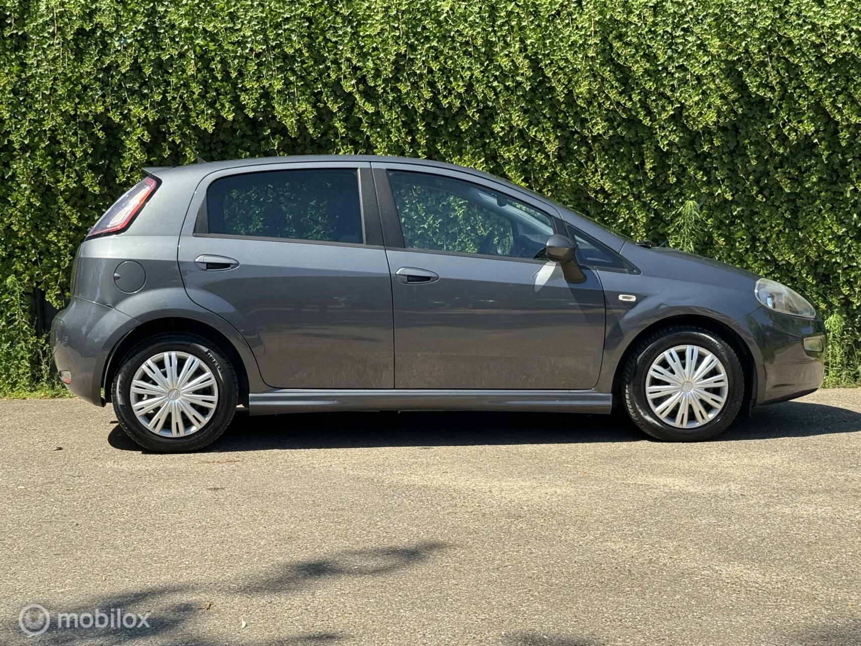 Hoofdafbeelding Fiat Punto
