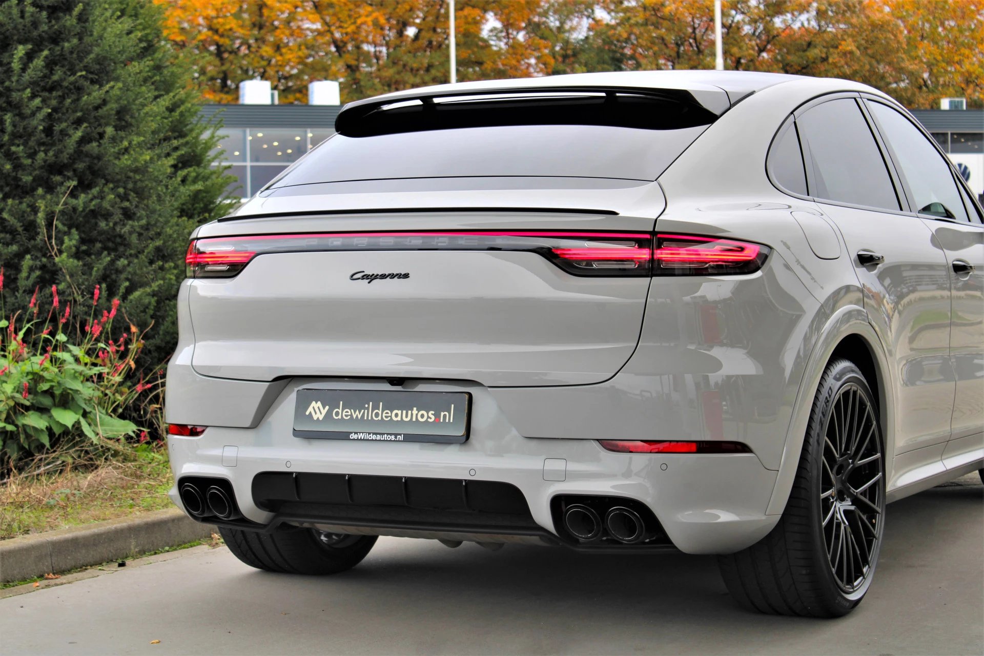 Hoofdafbeelding Porsche Cayenne