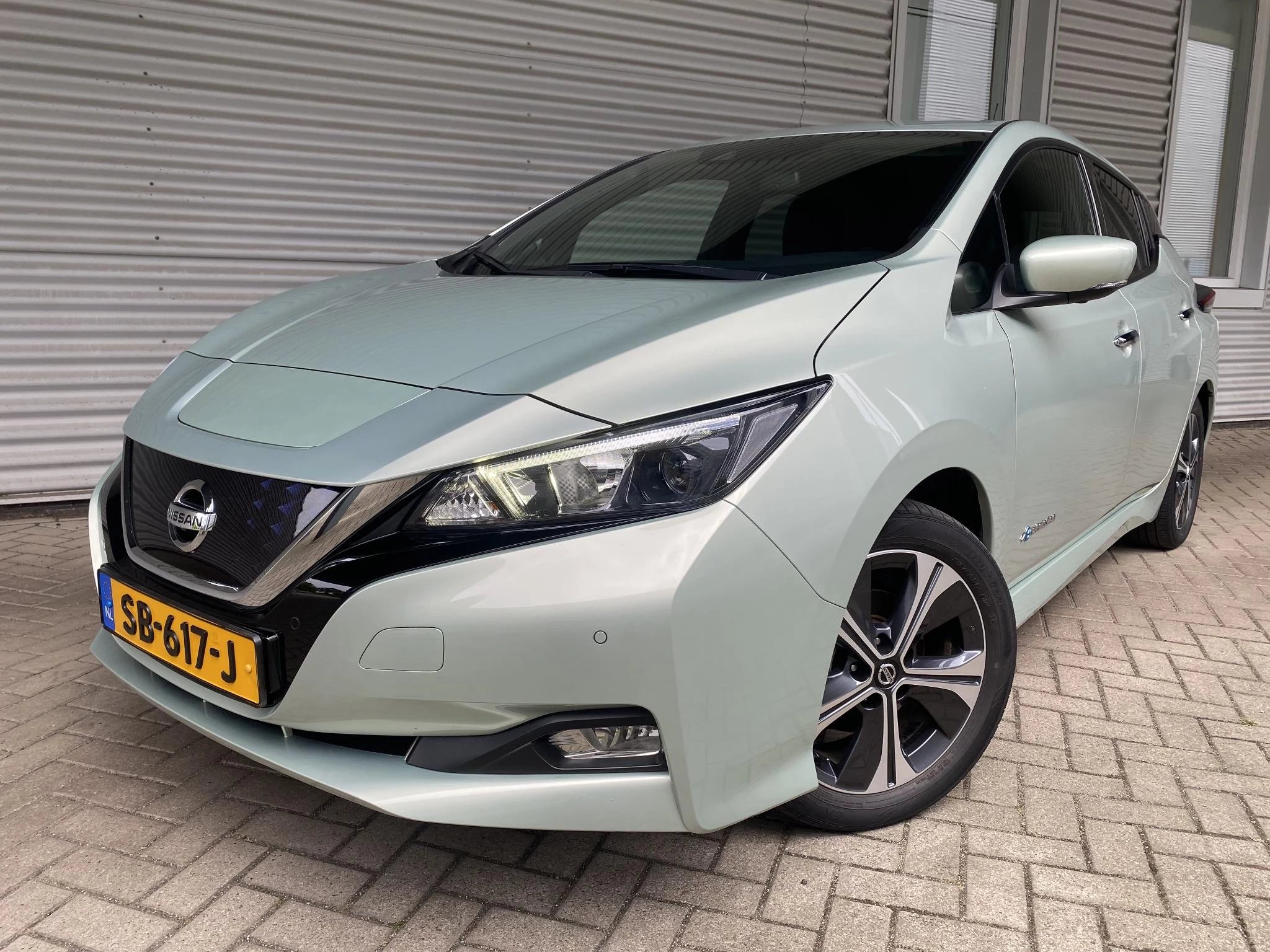 Hoofdafbeelding Nissan Leaf