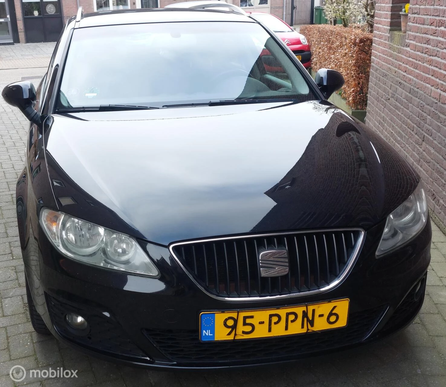 Hoofdafbeelding SEAT Exeo