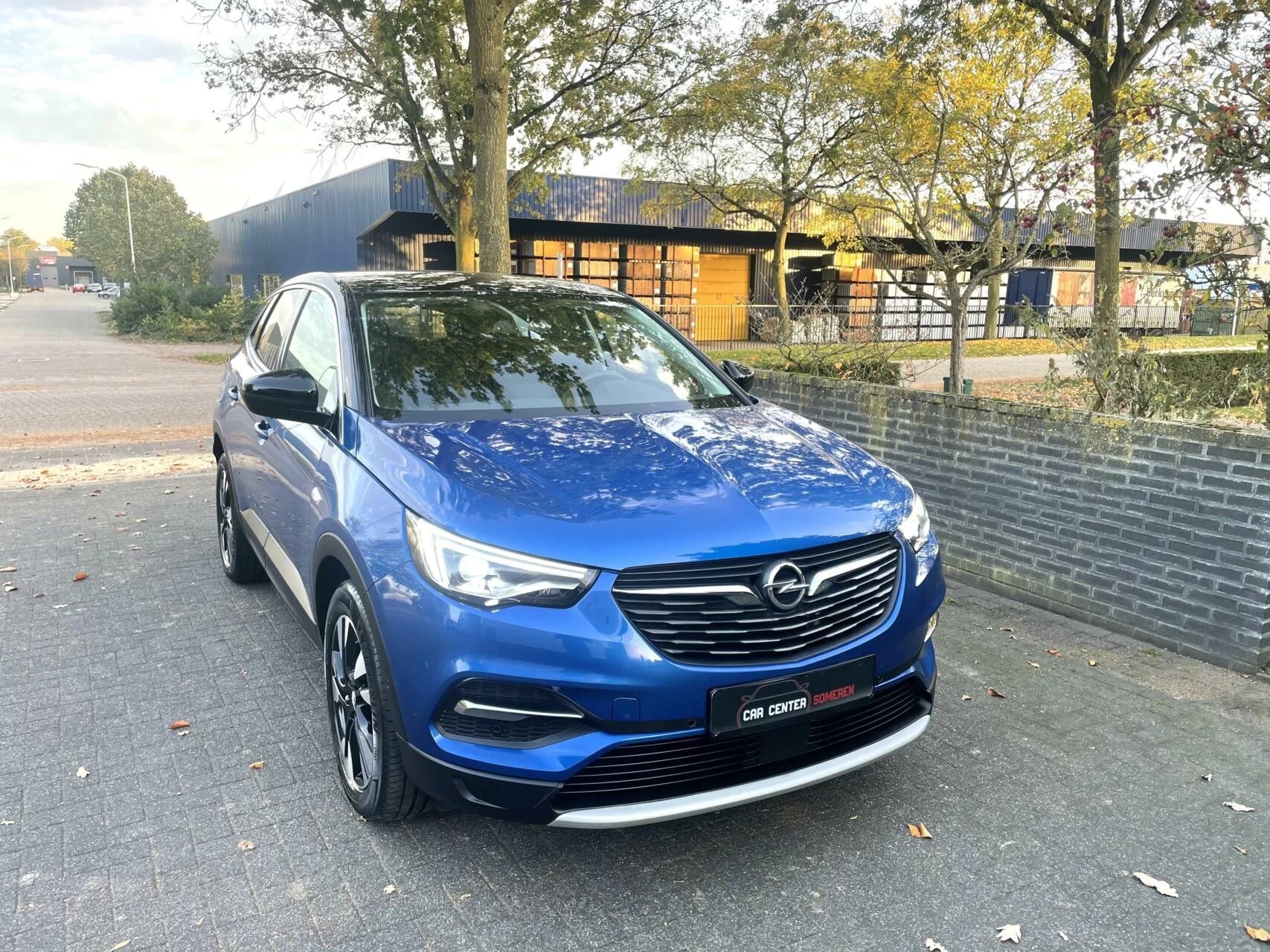 Hoofdafbeelding Opel Grandland X