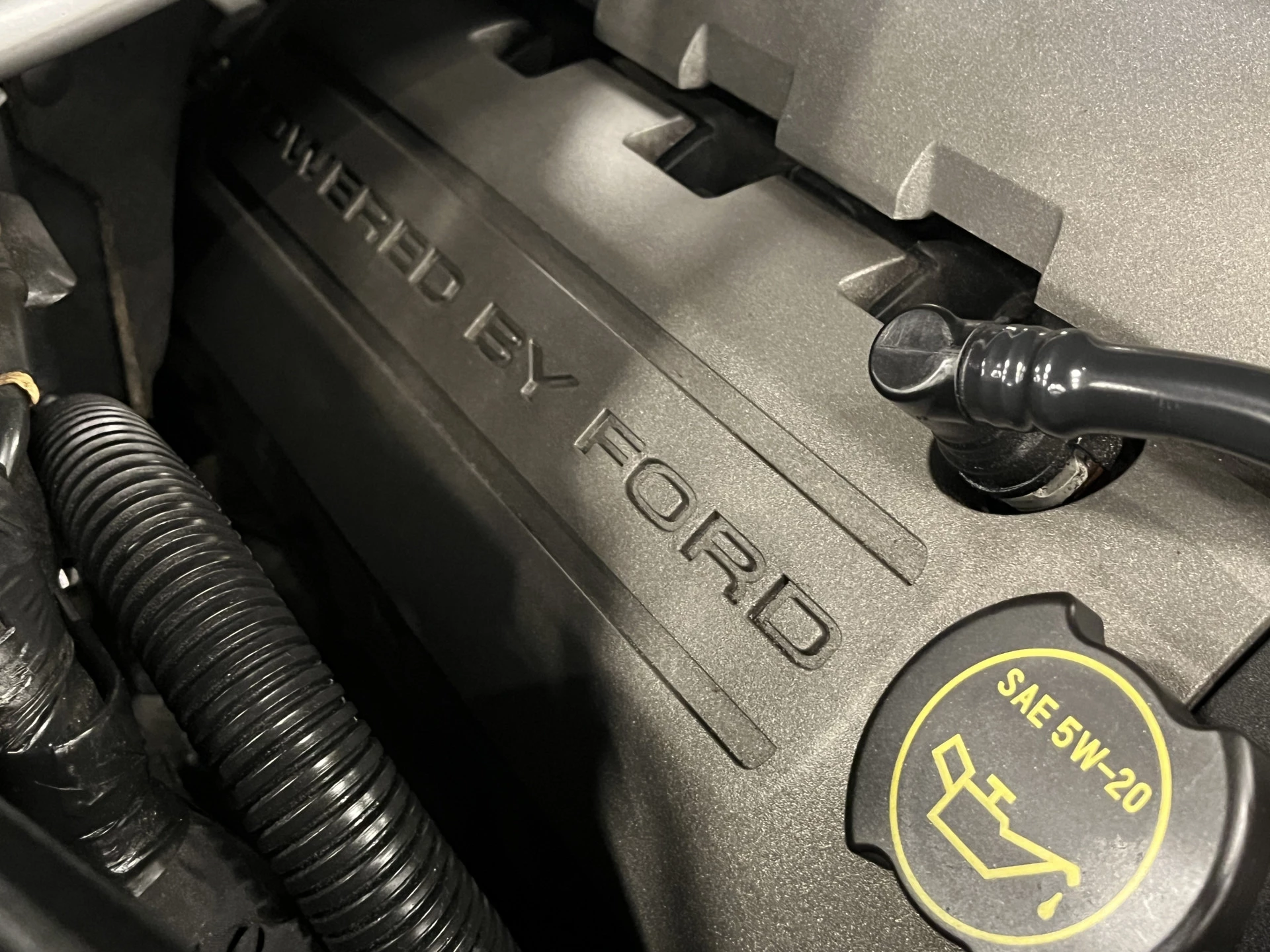 Hoofdafbeelding Ford Mustang