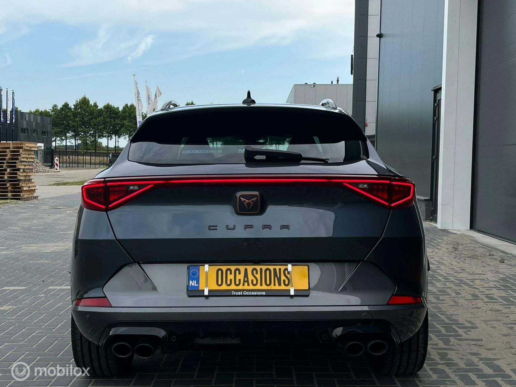 Hoofdafbeelding CUPRA Formentor