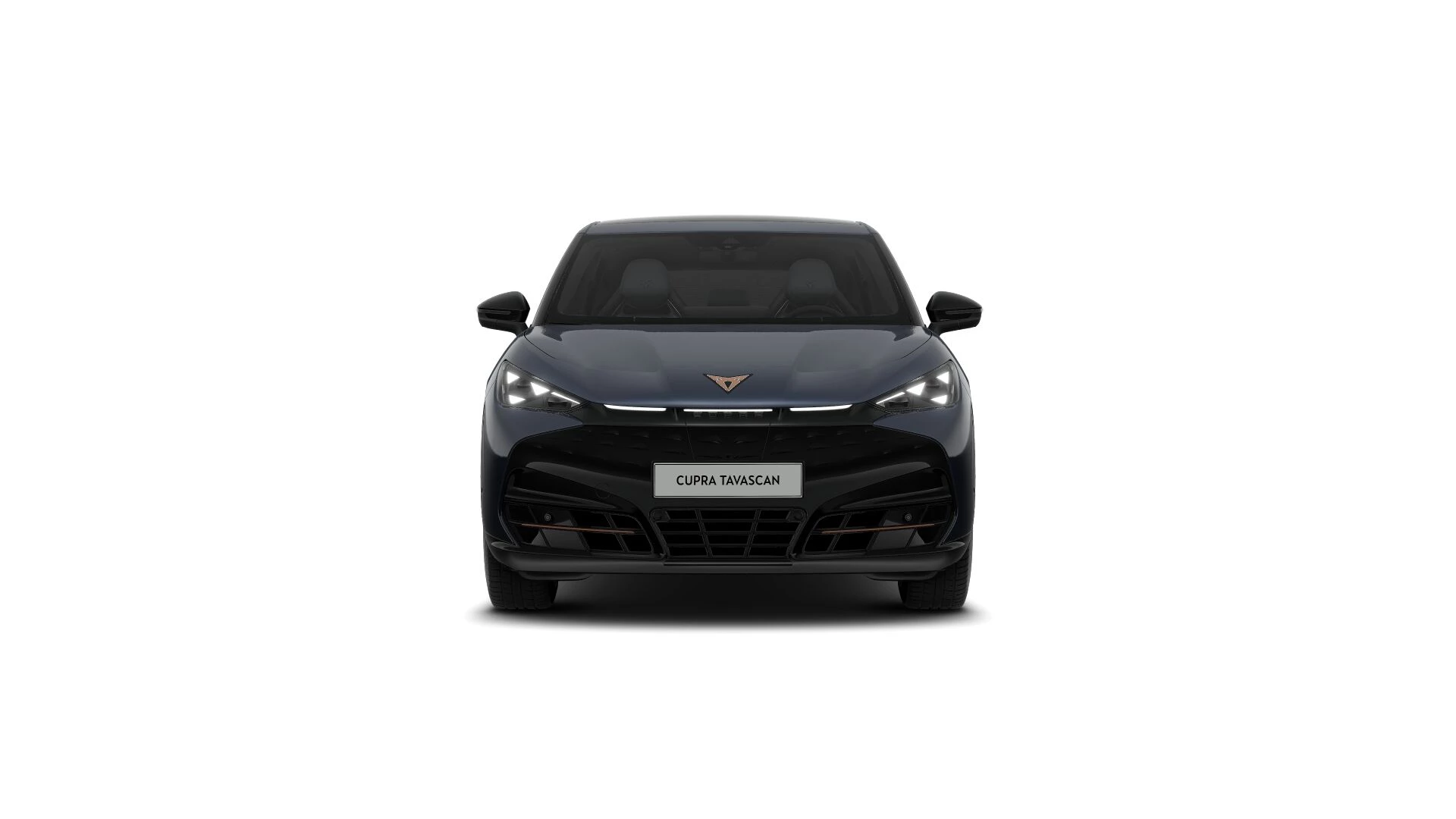 Hoofdafbeelding CUPRA Tavascan