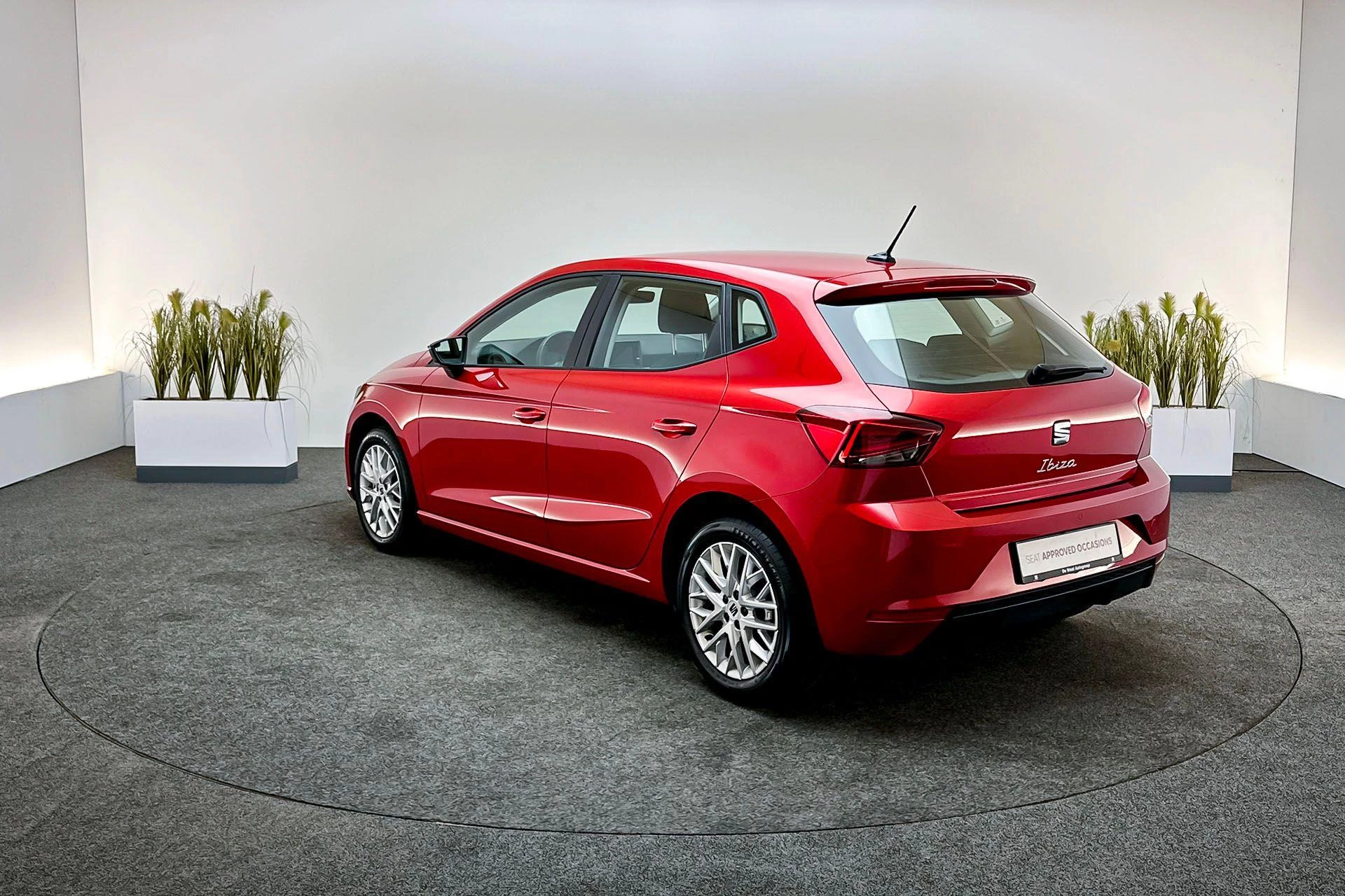 Hoofdafbeelding SEAT Ibiza