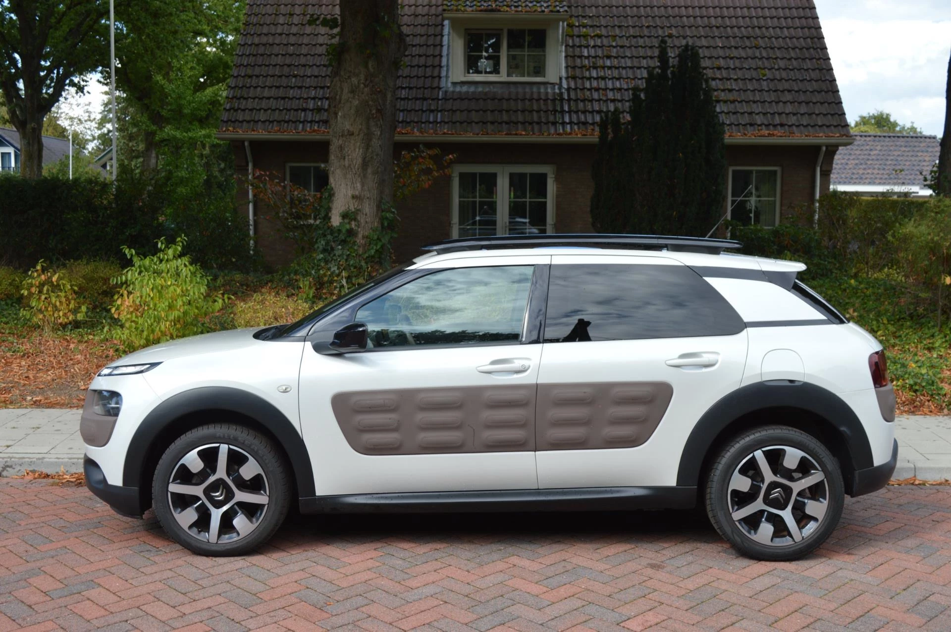 Hoofdafbeelding Citroën C4 Cactus
