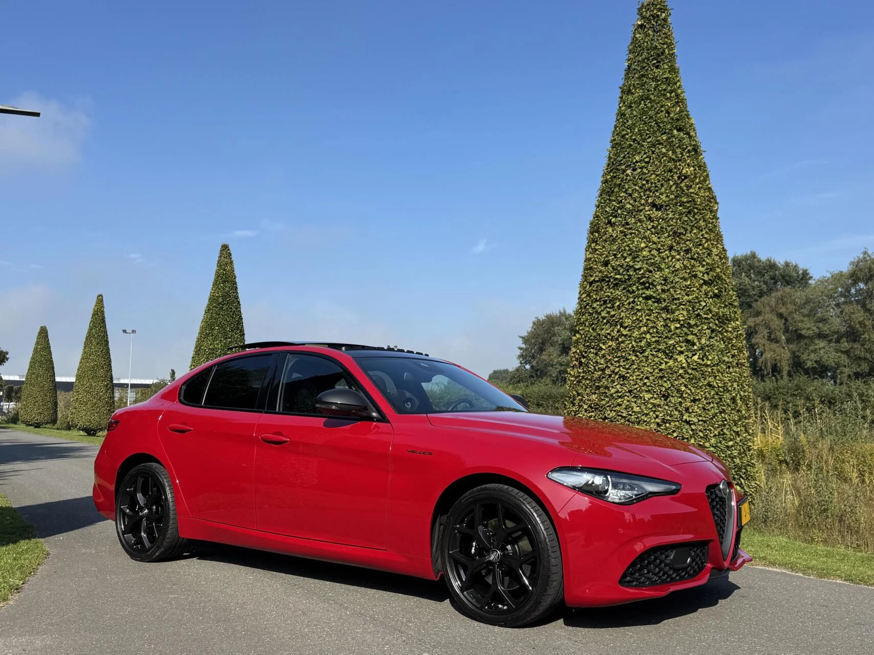 Hoofdafbeelding Alfa Romeo Giulia