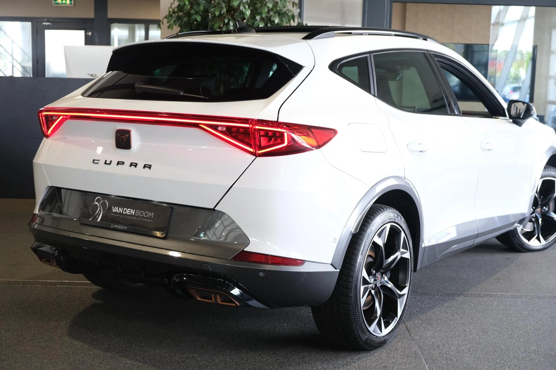 Hoofdafbeelding CUPRA Formentor