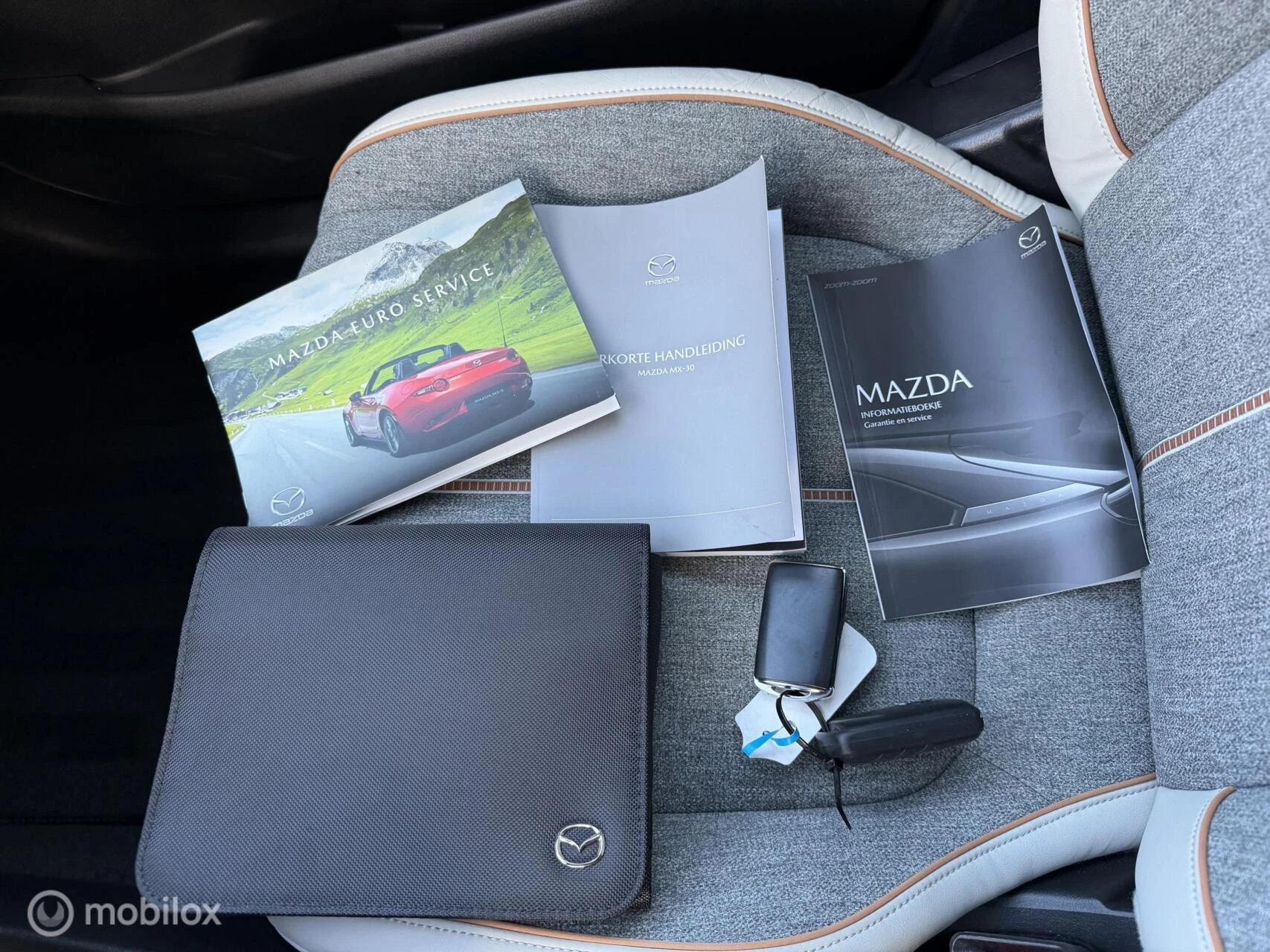 Hoofdafbeelding Mazda MX-30