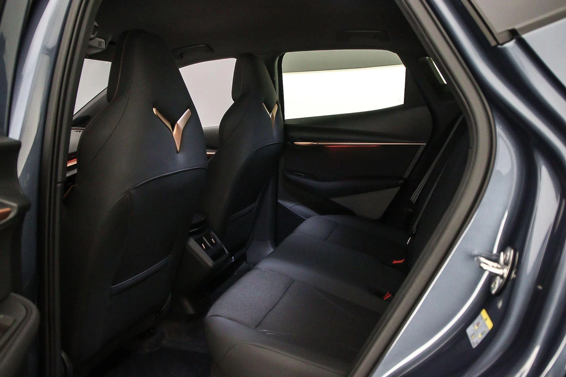 Hoofdafbeelding CUPRA Tavascan