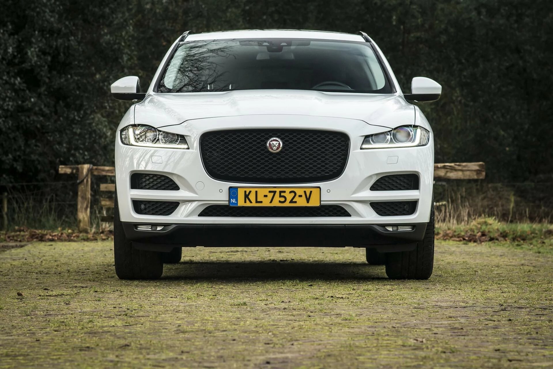 Hoofdafbeelding Jaguar F-PACE