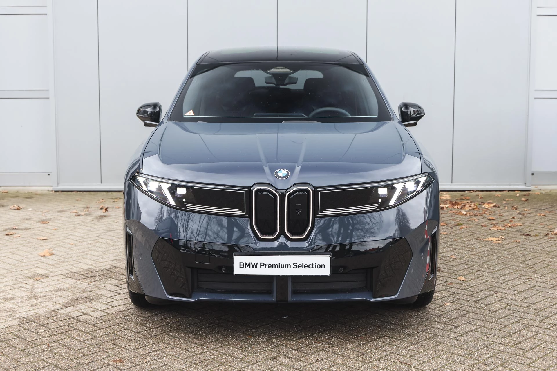 Hoofdafbeelding BMW iX3