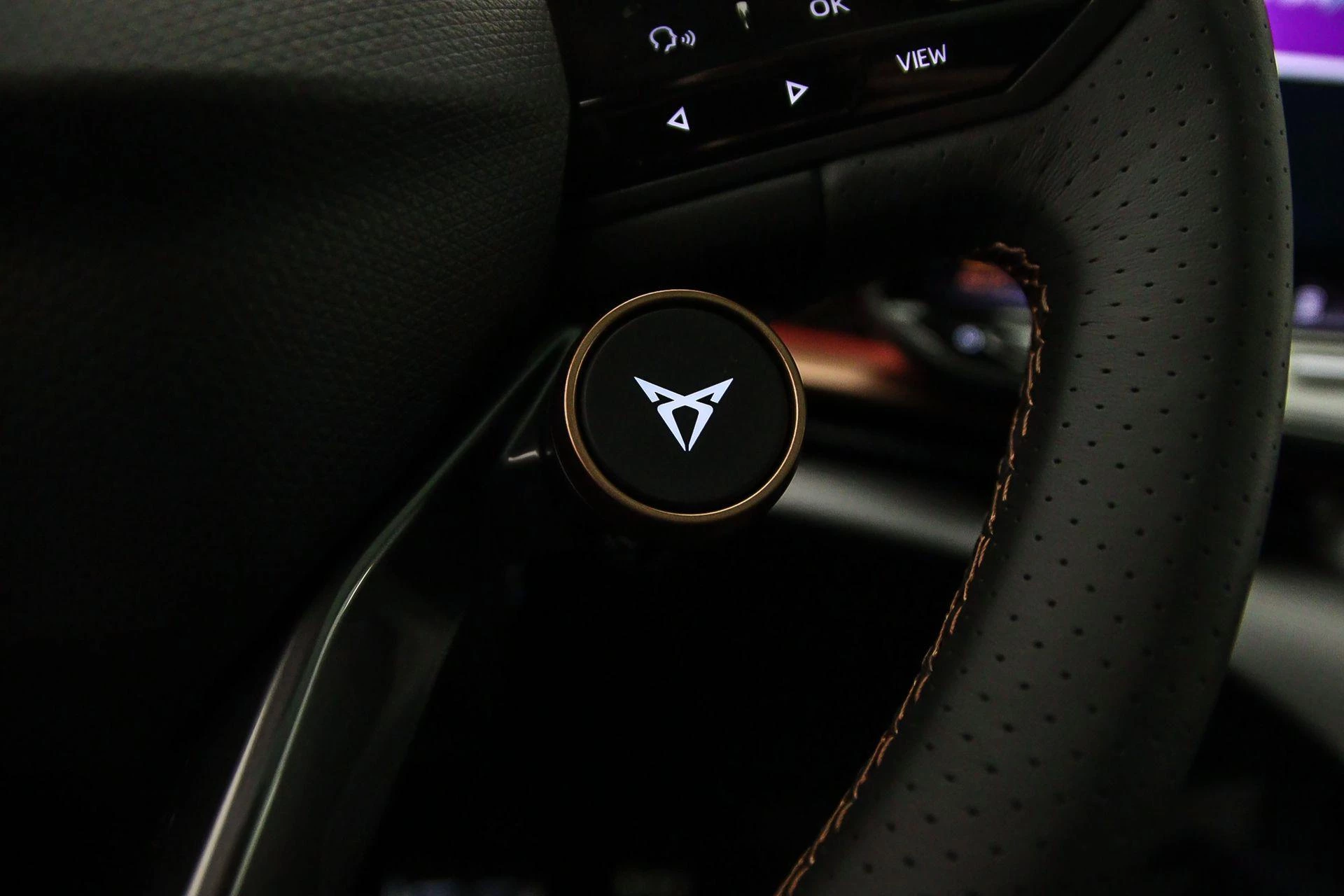 Hoofdafbeelding CUPRA Tavascan