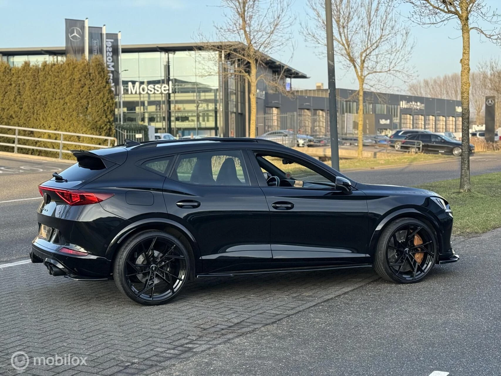 Hoofdafbeelding CUPRA Formentor