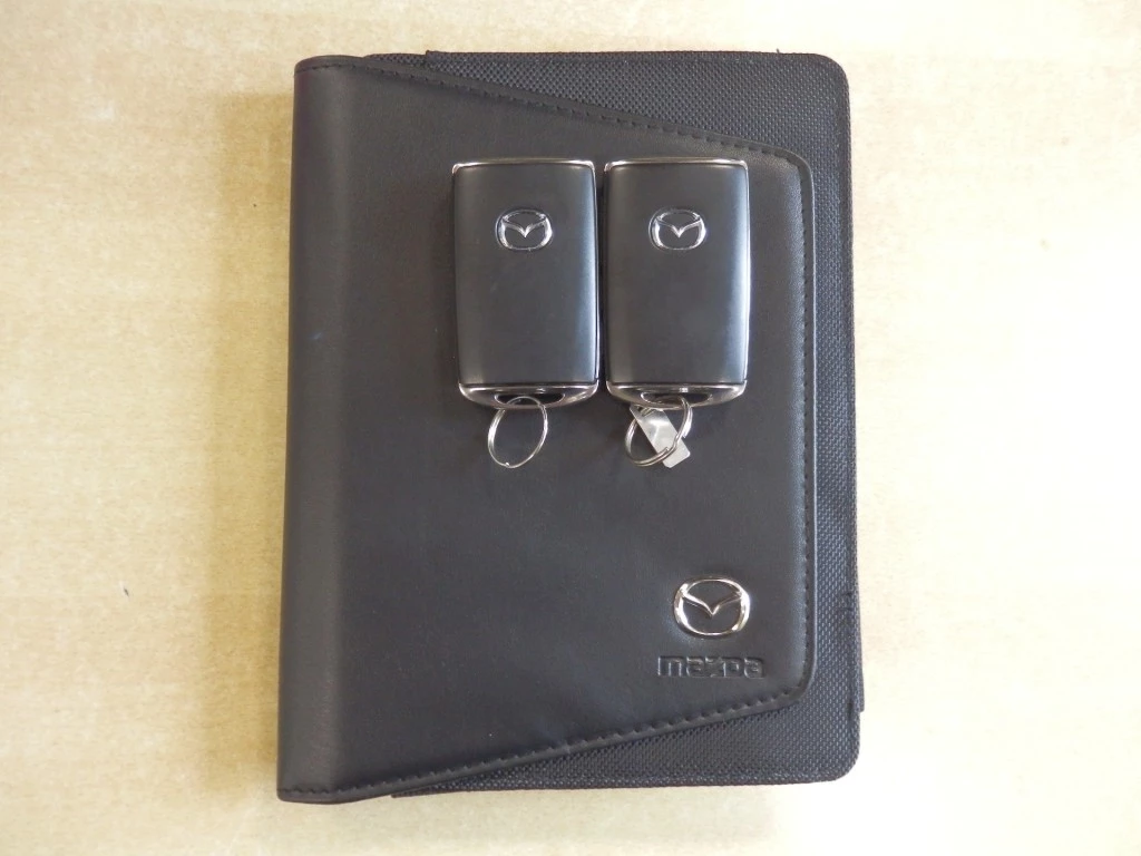 Hoofdafbeelding Mazda 2