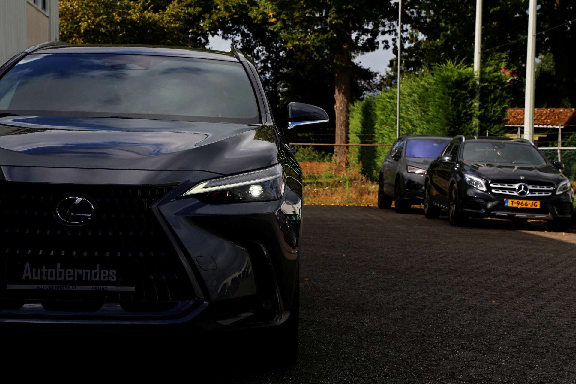 Hoofdafbeelding Lexus NX