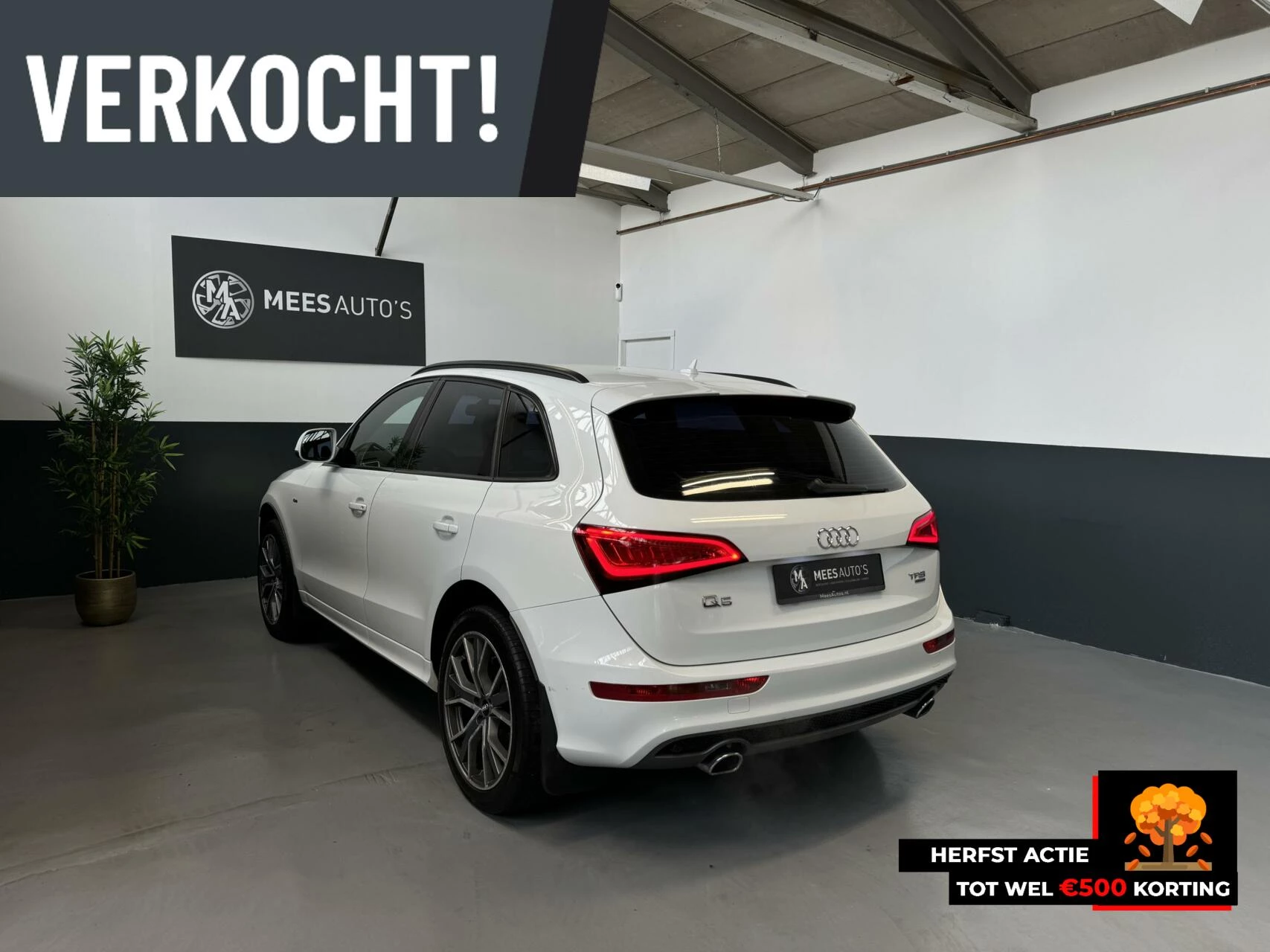 Hoofdafbeelding Audi Q5
