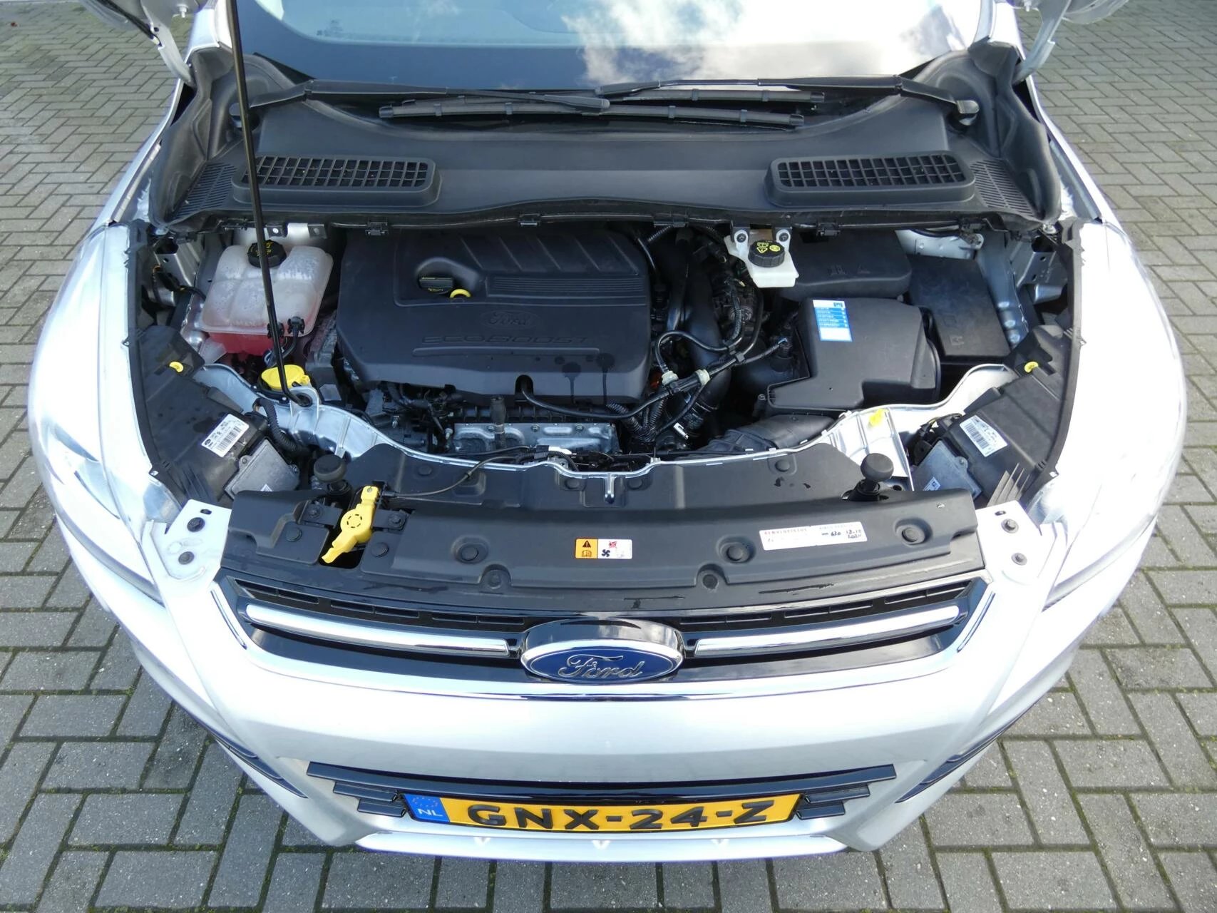 Hoofdafbeelding Ford Kuga