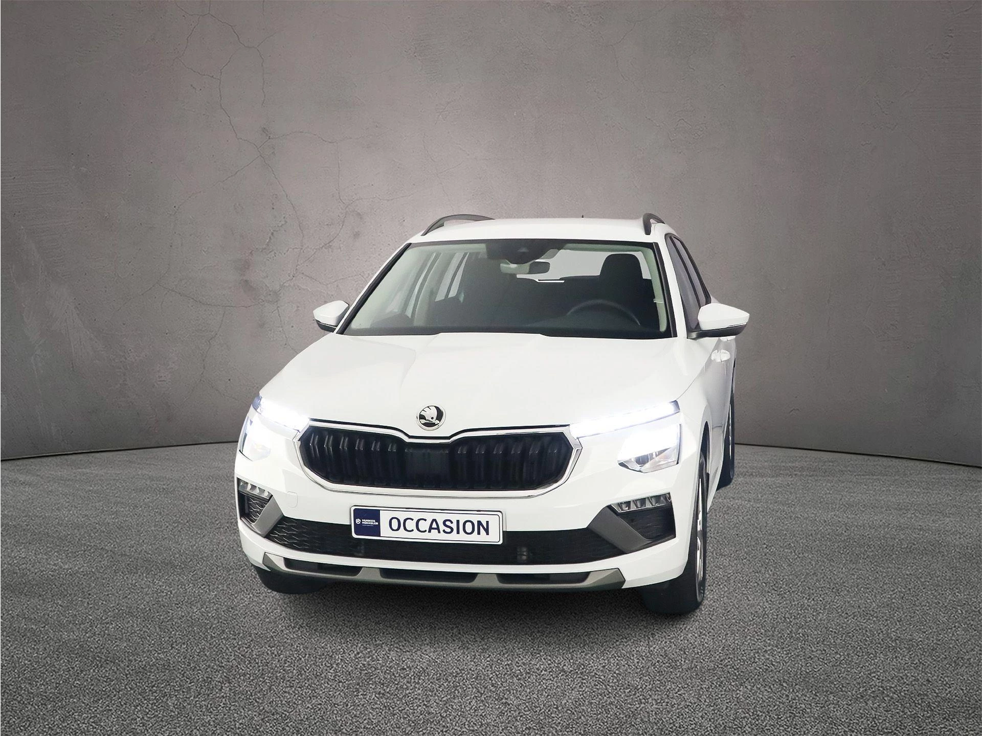 Hoofdafbeelding Škoda Kamiq