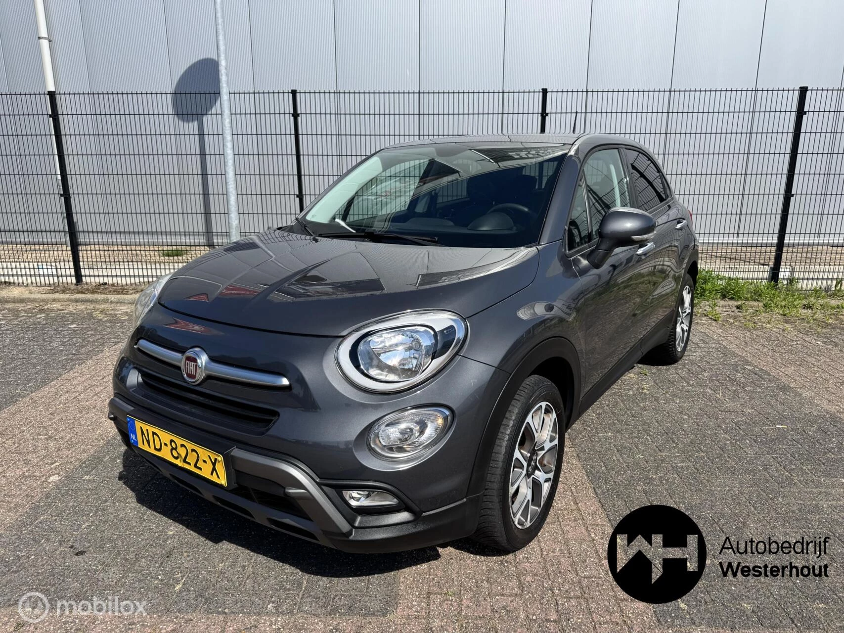Hoofdafbeelding Fiat 500X