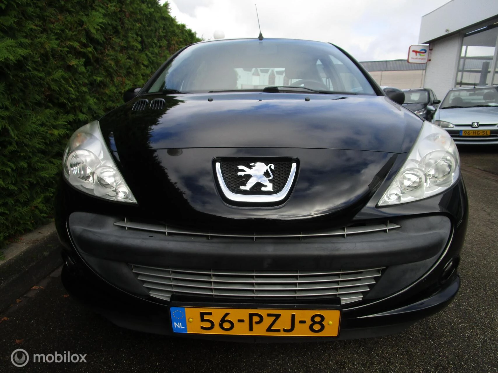 Hoofdafbeelding Peugeot 206